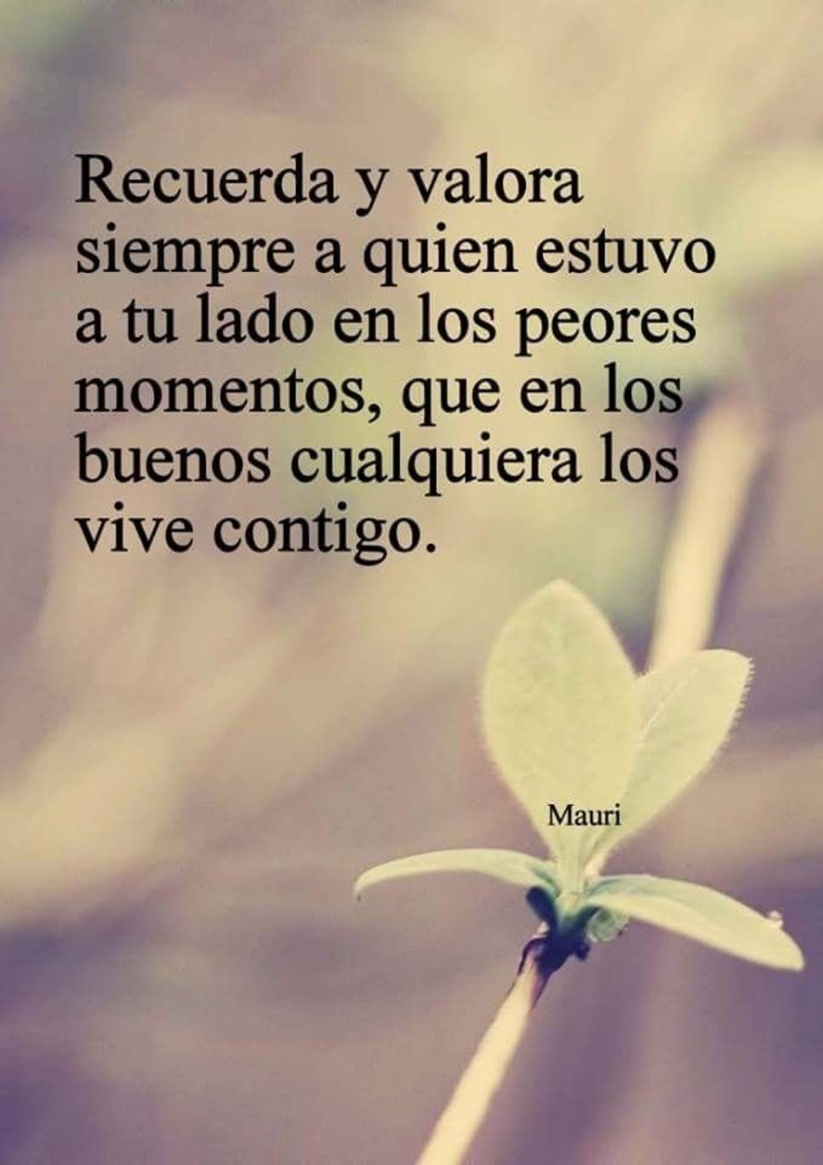 Reflexiones sobre la amistad Frases-y-reflexiones-bonitas-Pinterest-358