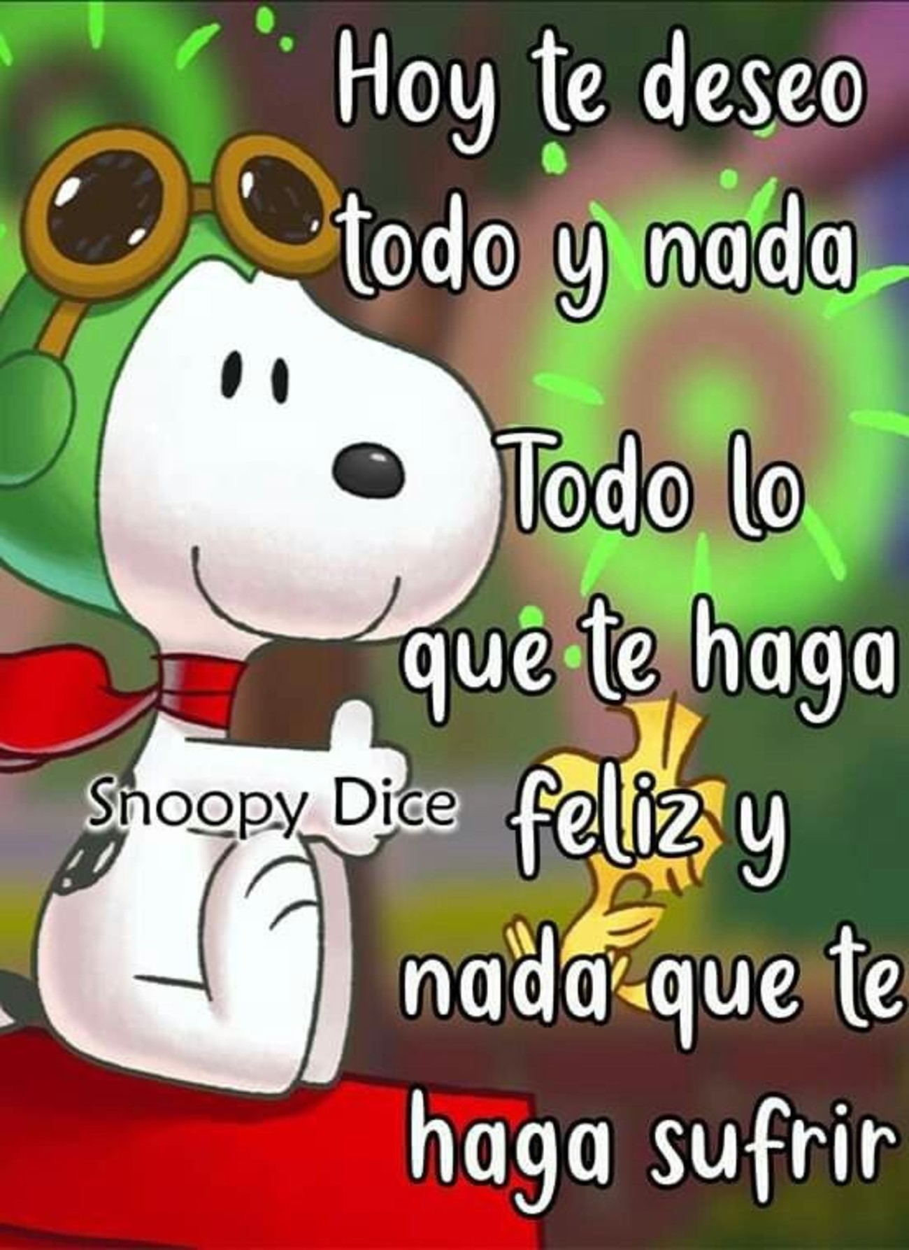 Hola Buenos Días Snoopy 424 