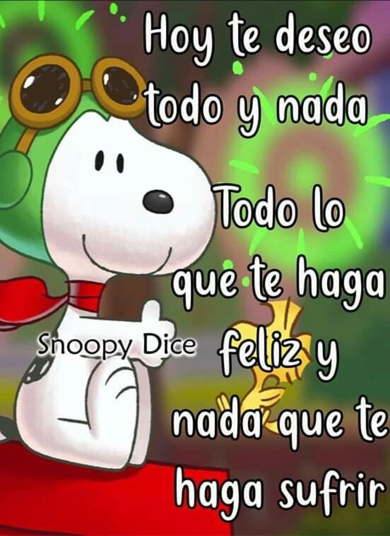 Hola Buenos Días Snoopy 424
