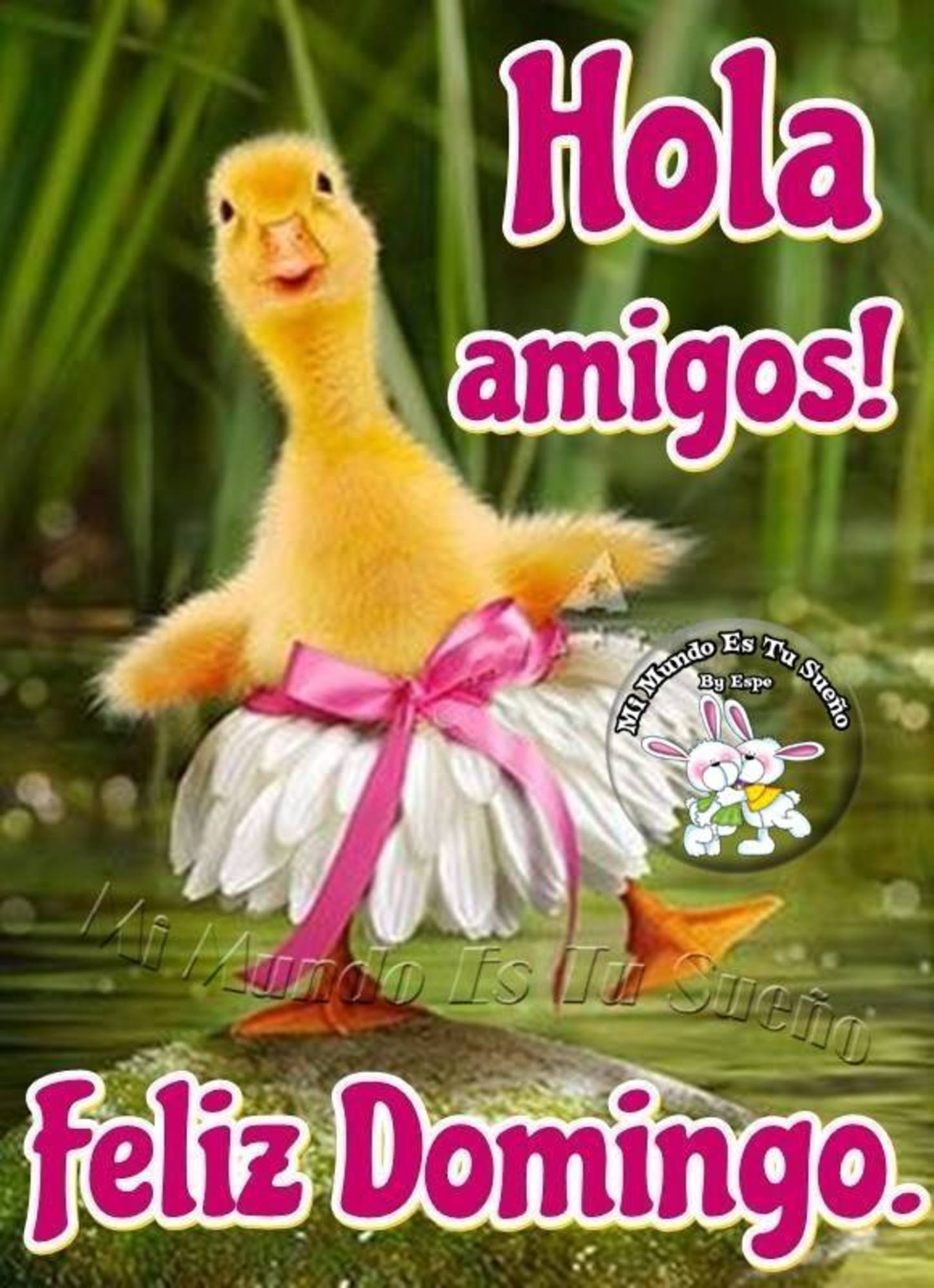 Hola amigos Feliz Domingo 166