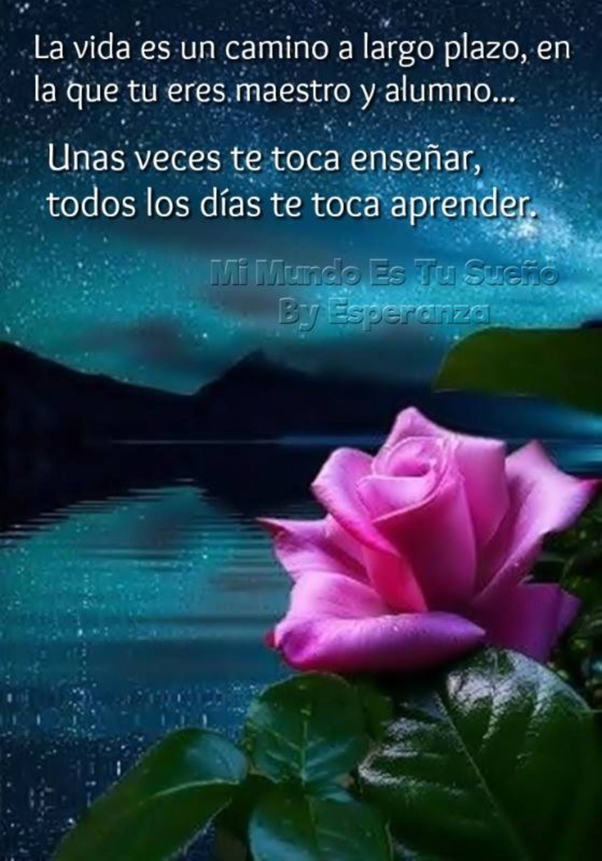 Imágenes con Reflexiones 215 Imágenes con Reflexiones 215