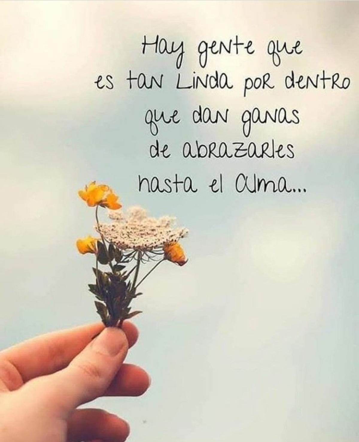 Imagenes para con frases Facebook 87