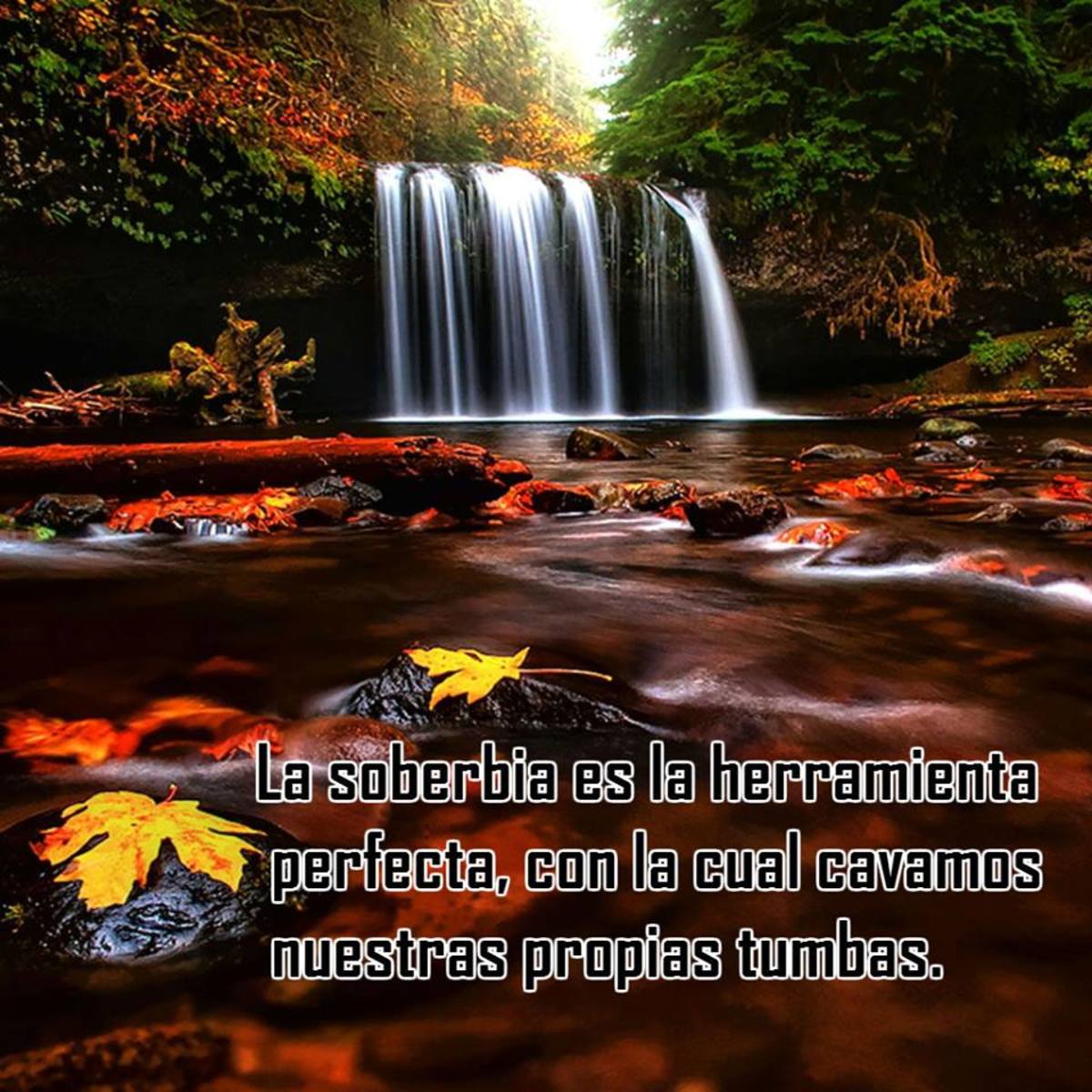 Imágenes con frases para compartir con tus amigos 333