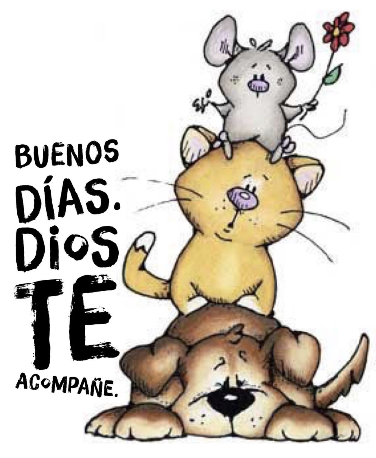 Imágenes de Buenos Días bonitas 496