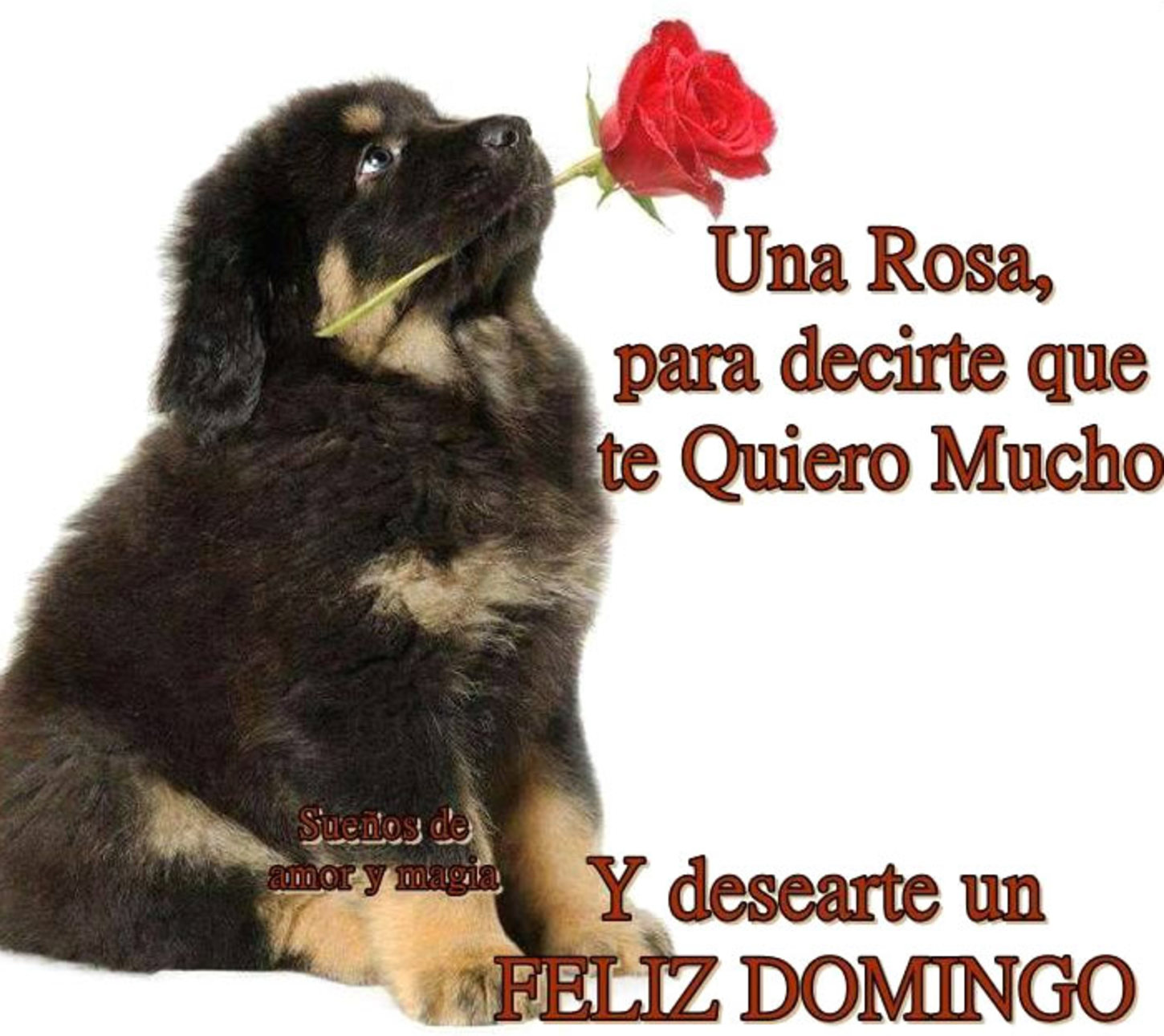 Imágenes hermosas de Feliz Domingo 279