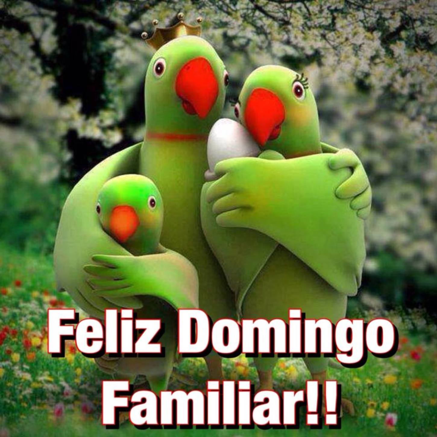 Imágenes hermosas de Feliz Domingo 283