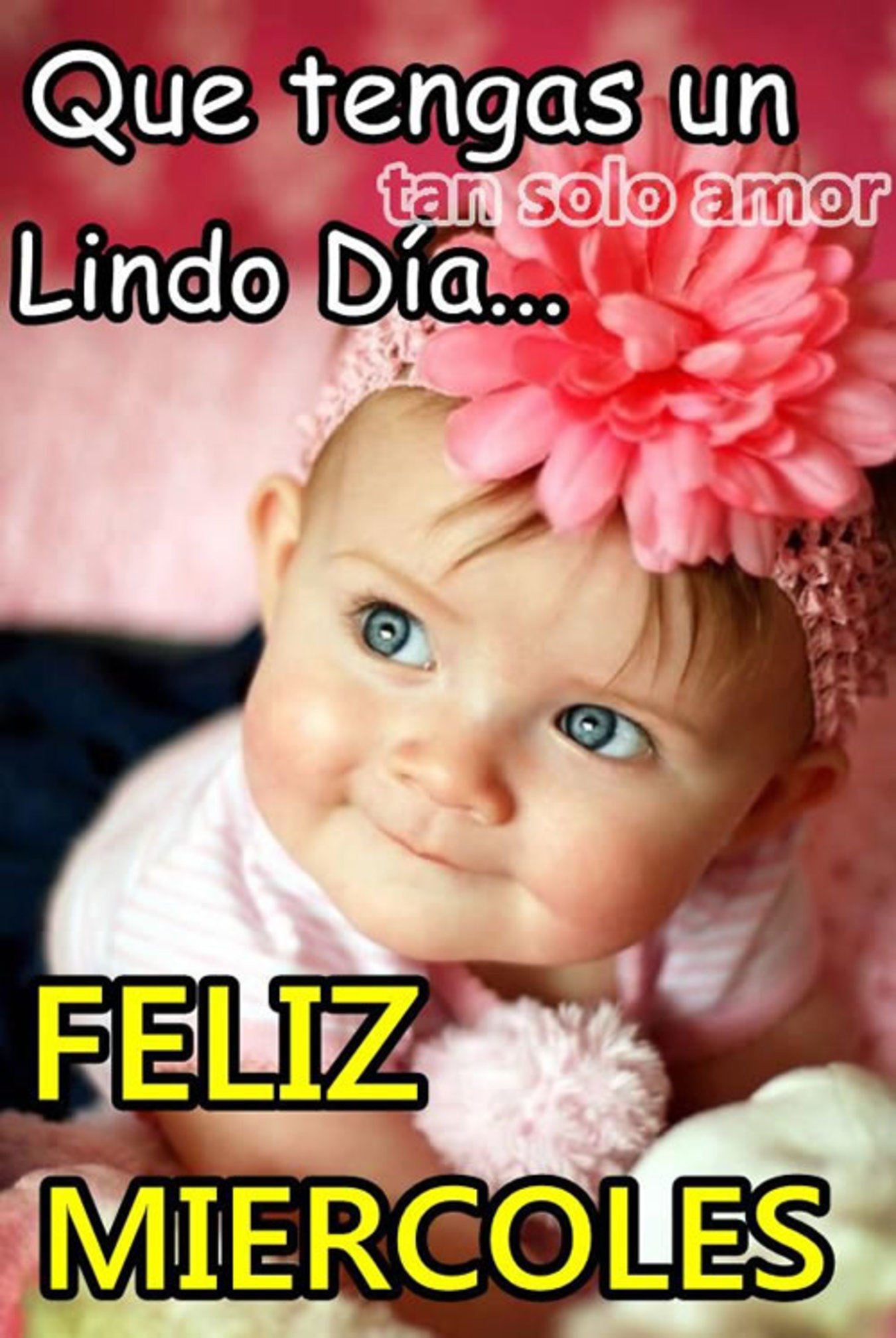 Imágenes lindas Feliz Miércoles 259