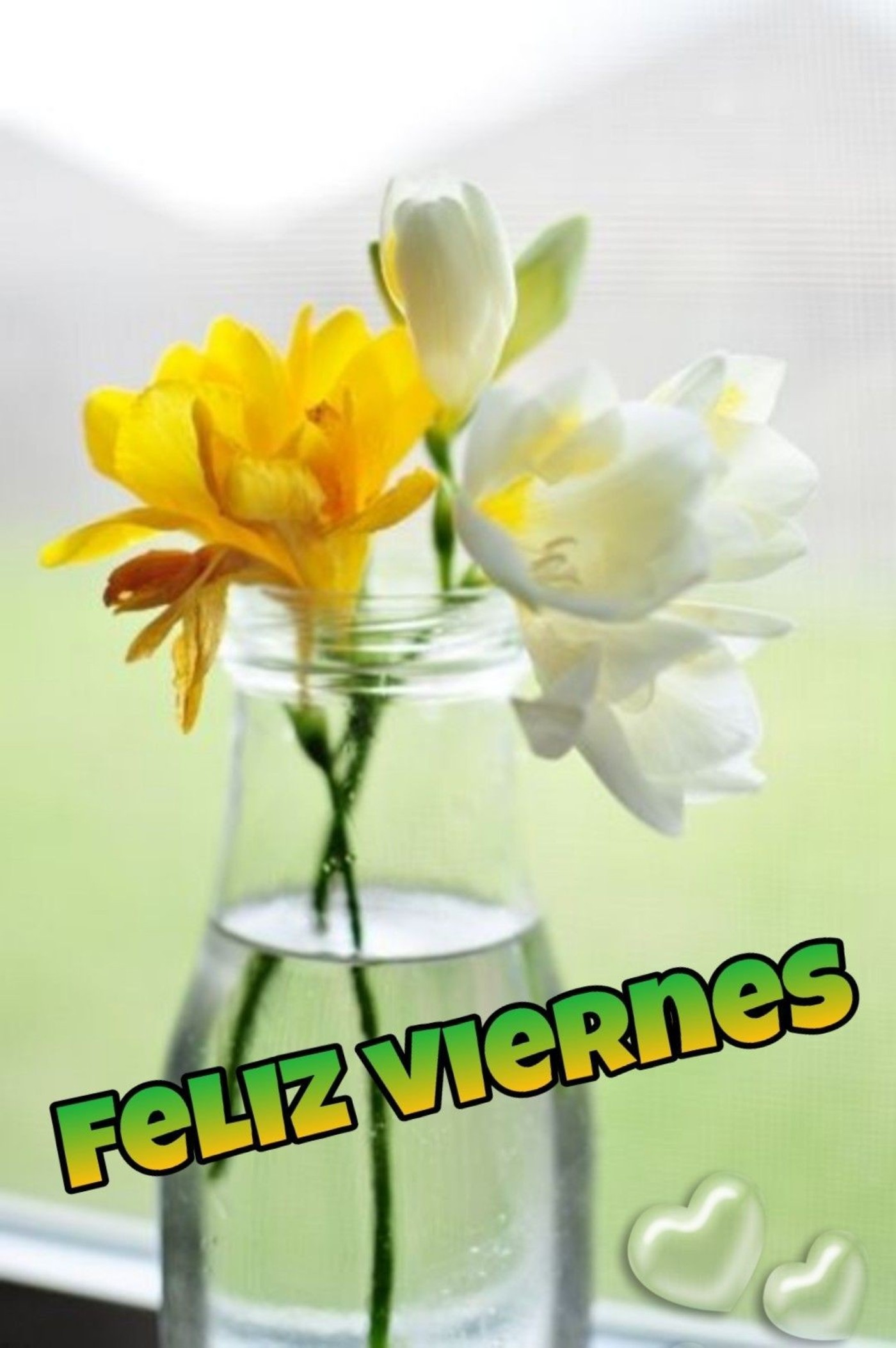 Imágenes lindas para Feliz Viernes 235