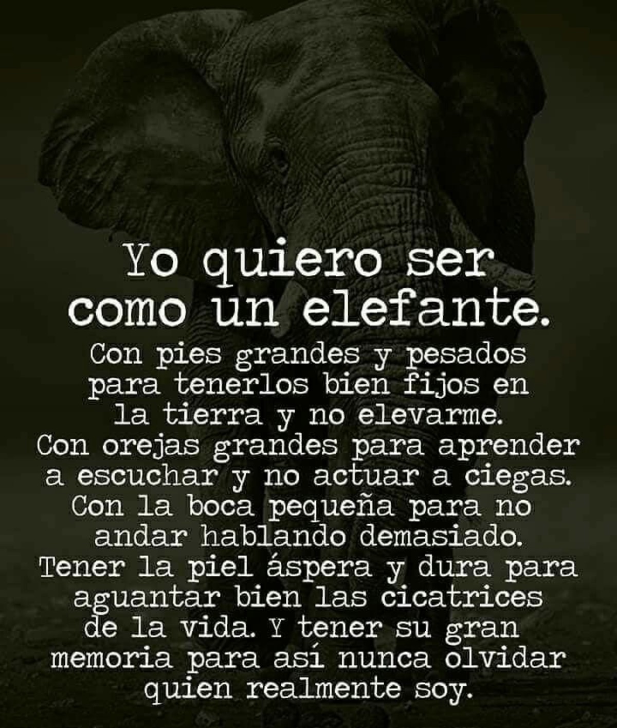 Imágenes y frases lindas Pinterest 366