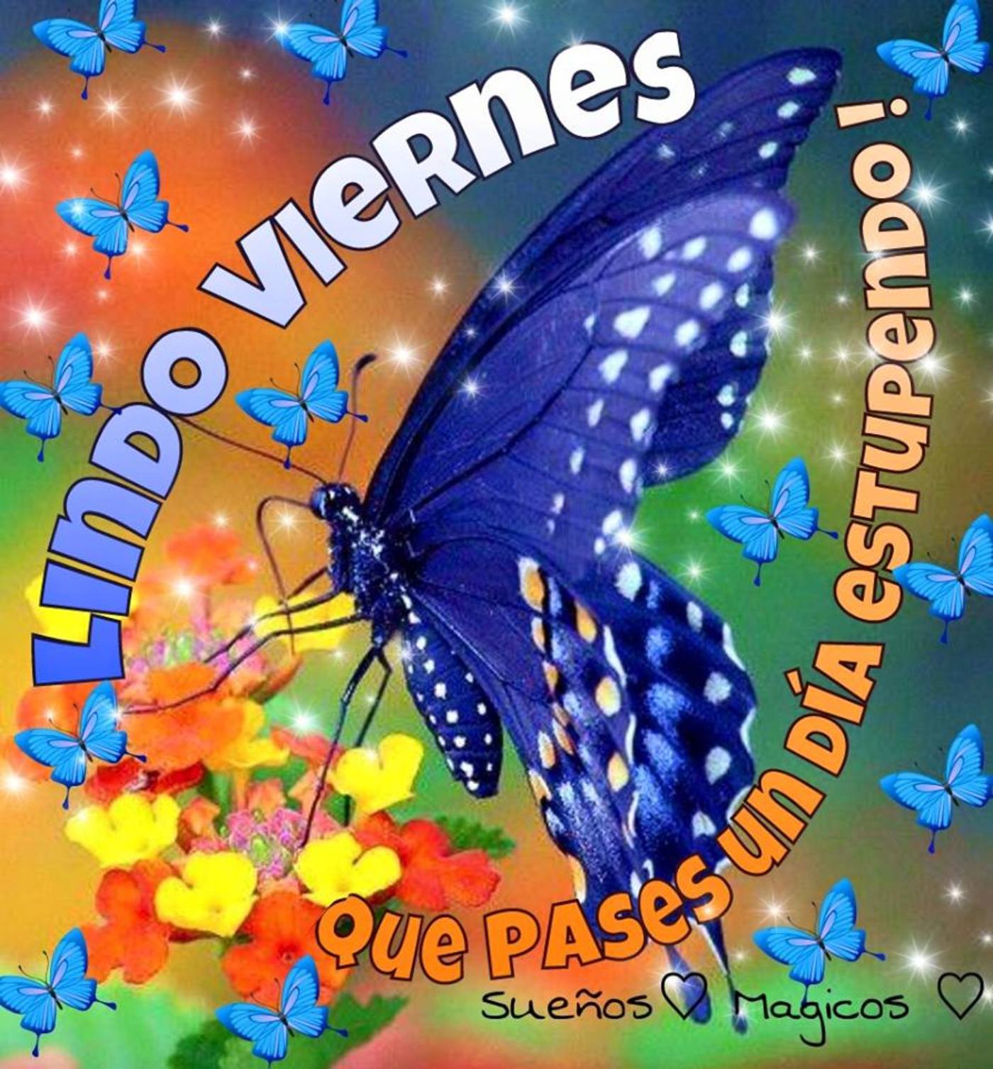 Lindo Viernes 60