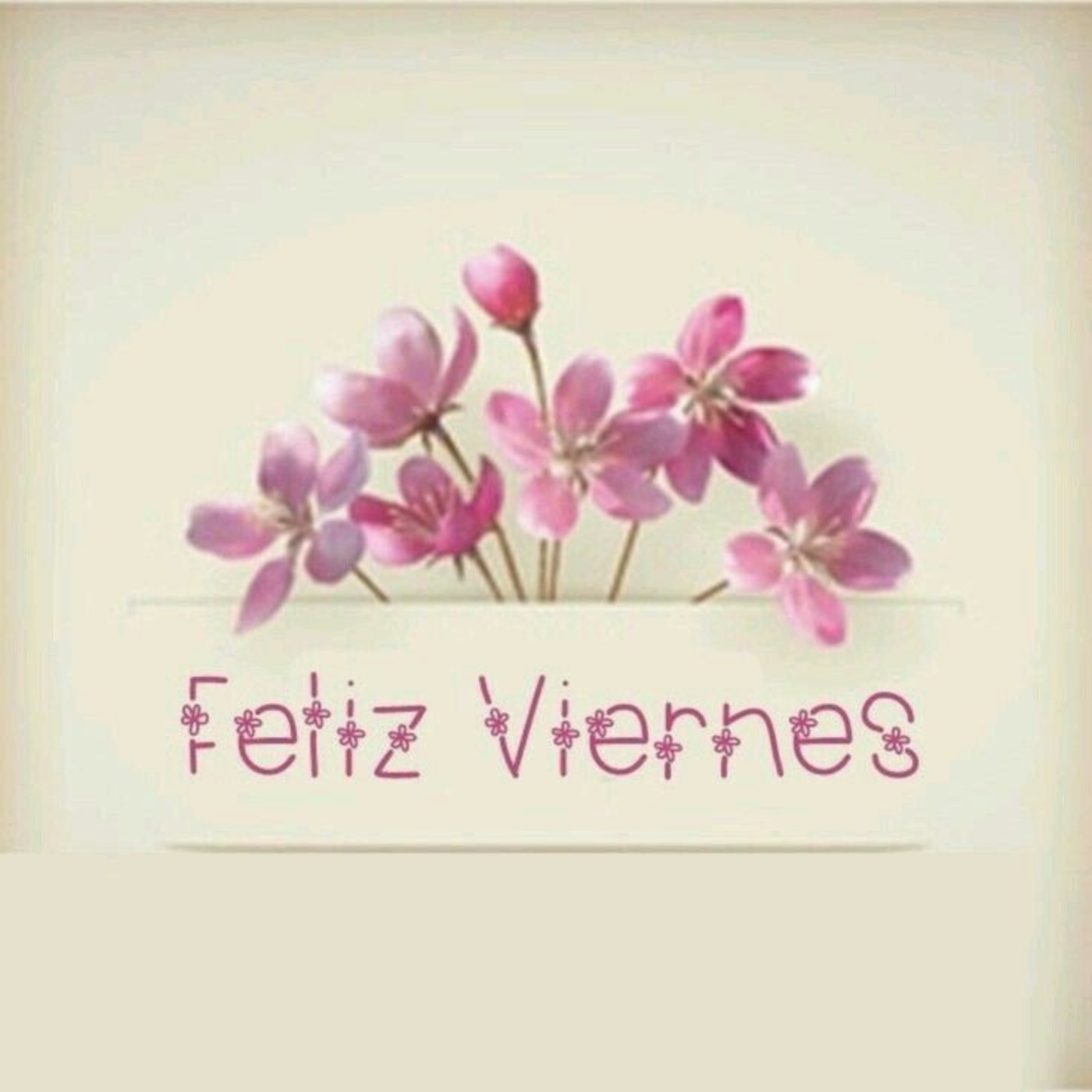 Lindo Viernes 62