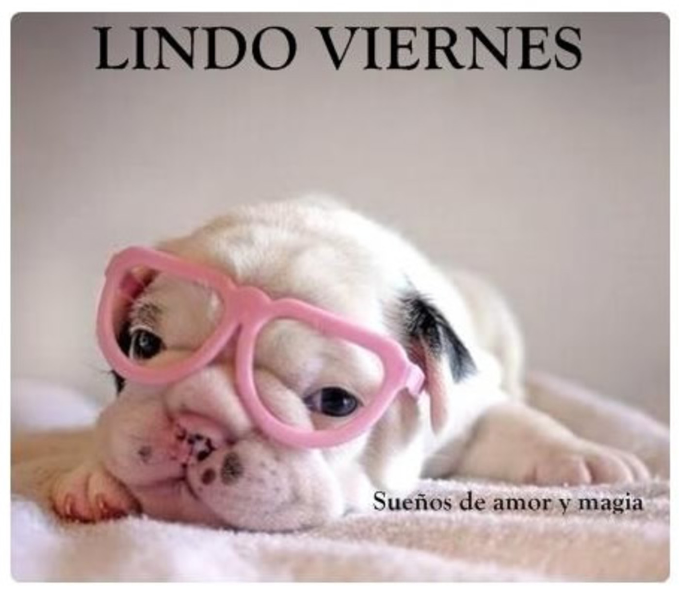 Lindo Viernes 83