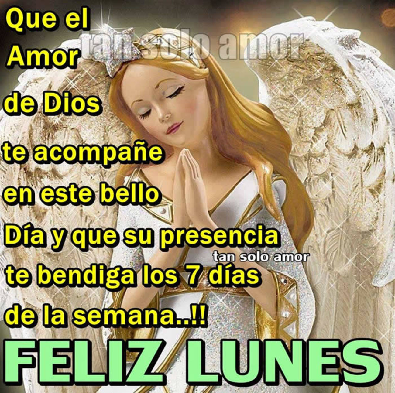 Lunes 102