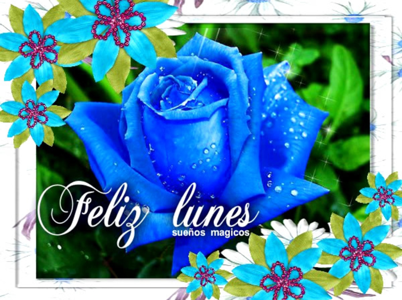 Mensajes y tarjetas de Feliz Lunes 222