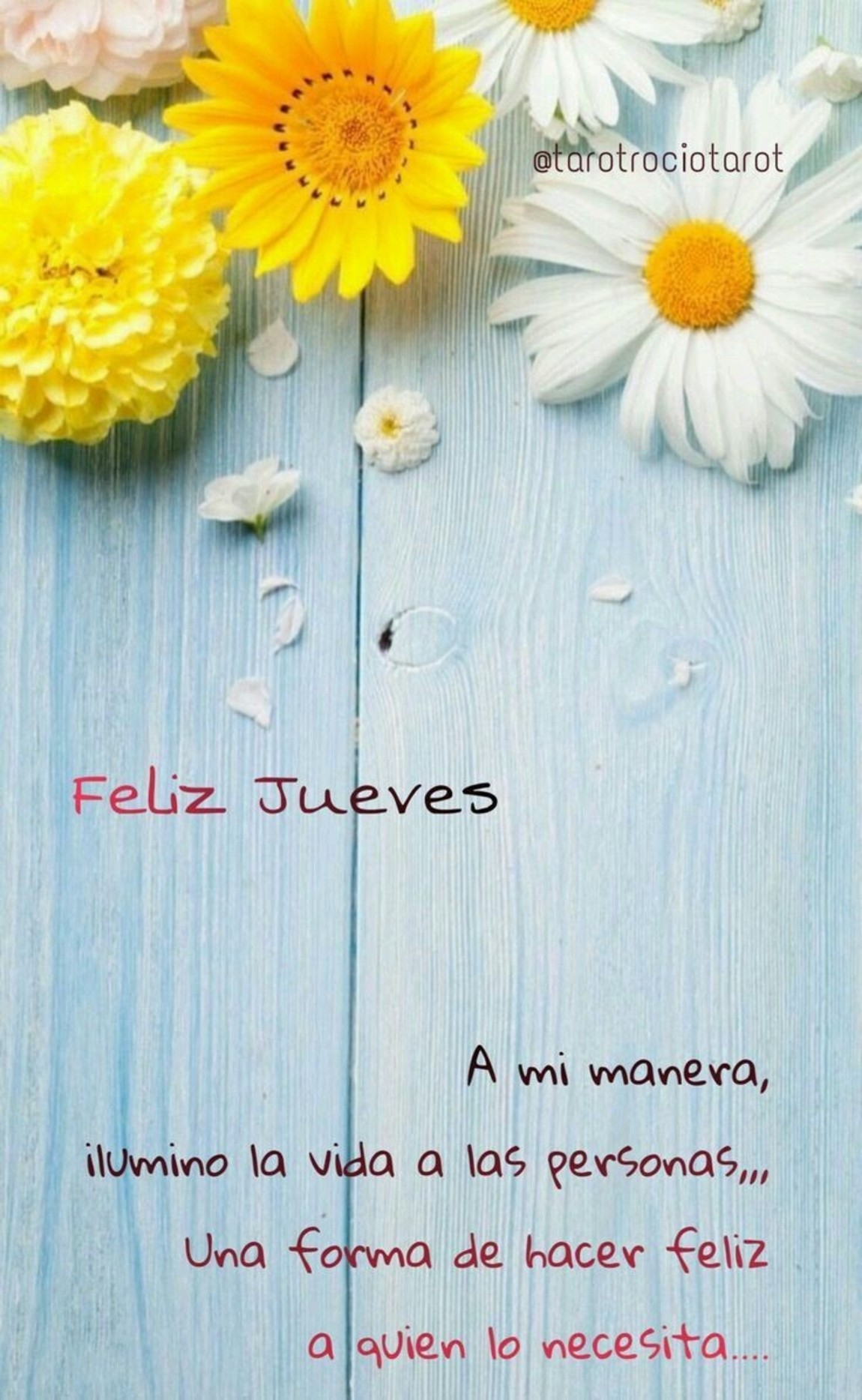 Para WhatsApp Feliz Jueves 78