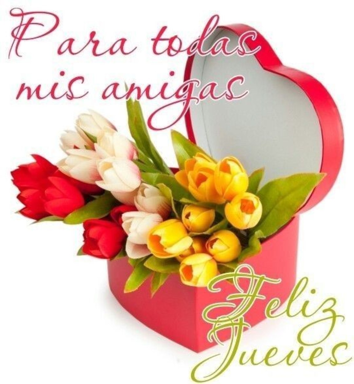 Para todas mis amigas Feliz Jueves 6