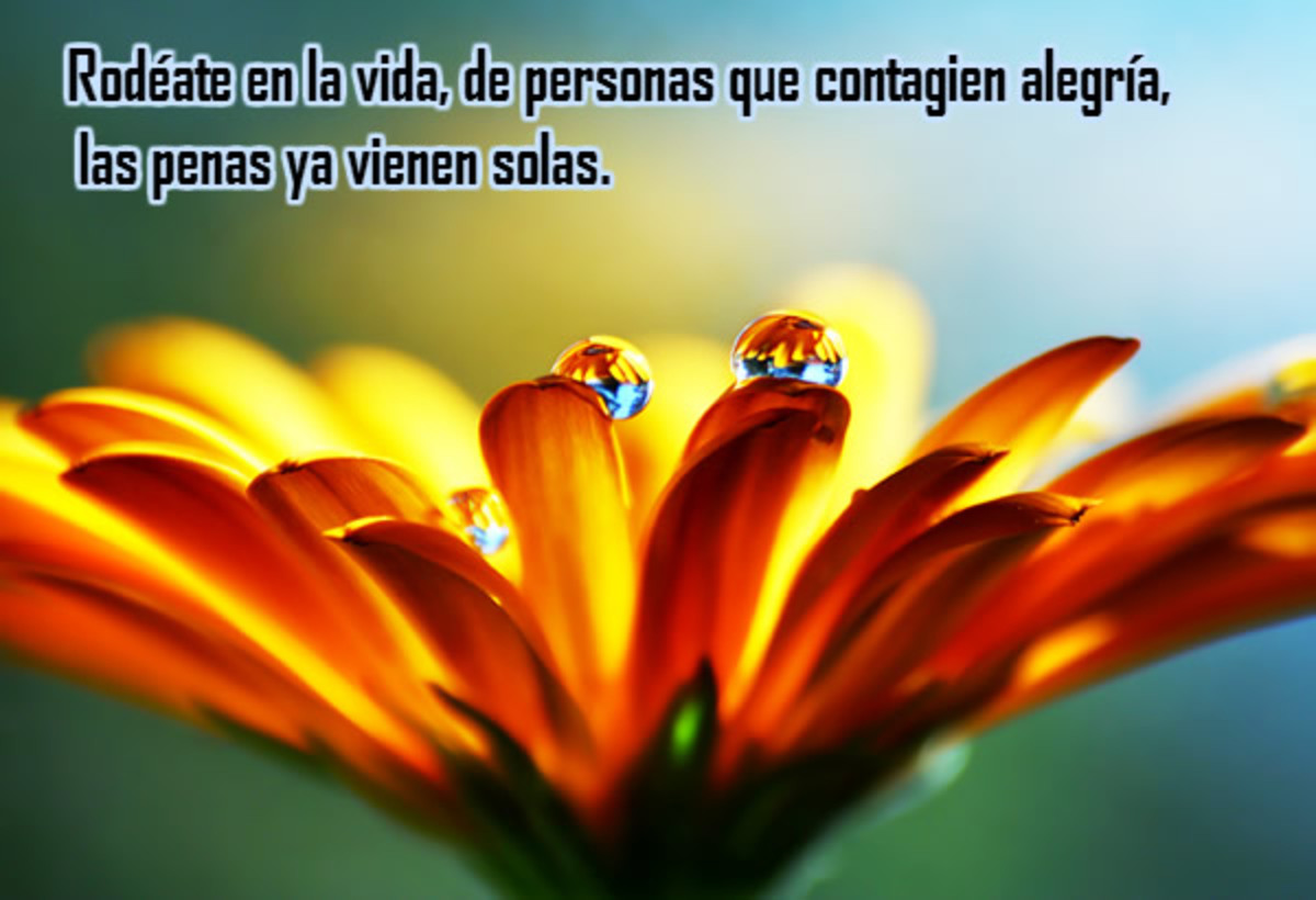 Pensamientos 476