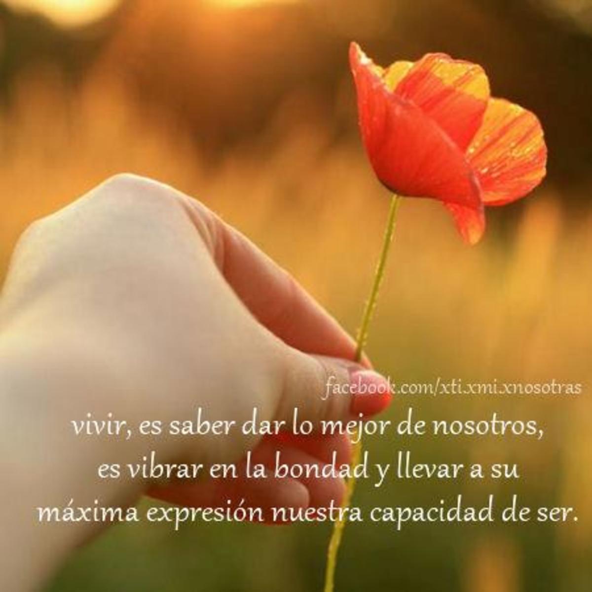 Reflexiones 235