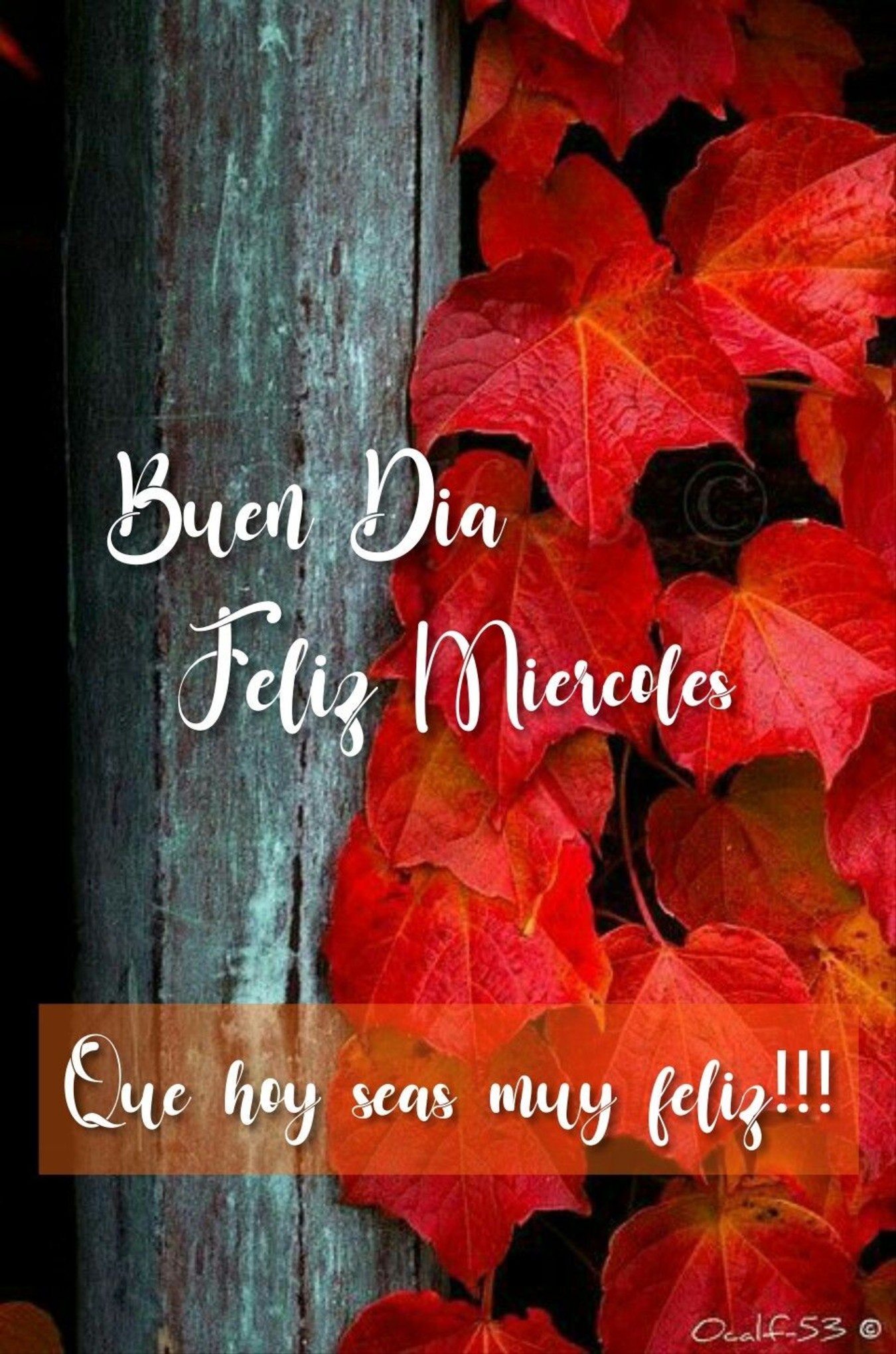 Tarjetas para Facebook de Feliz Miércoles 3