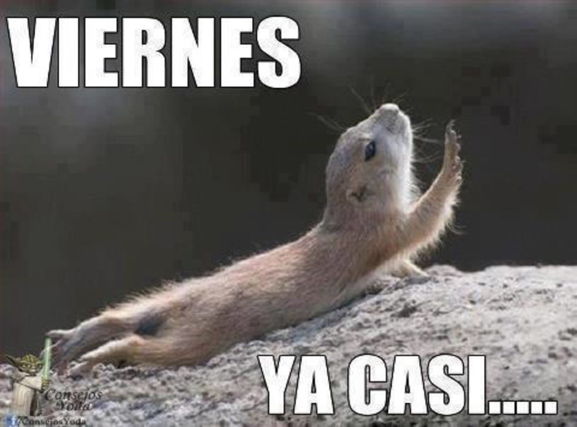 Viernes ya casi 146