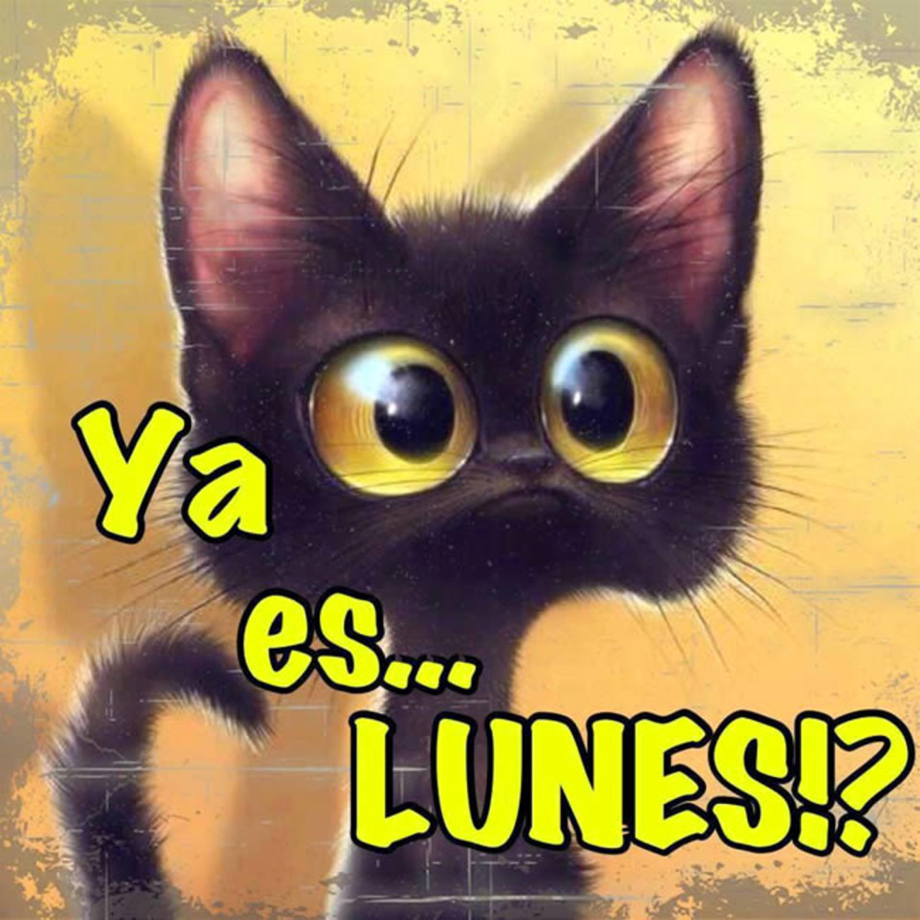 Ya es Lunes 42