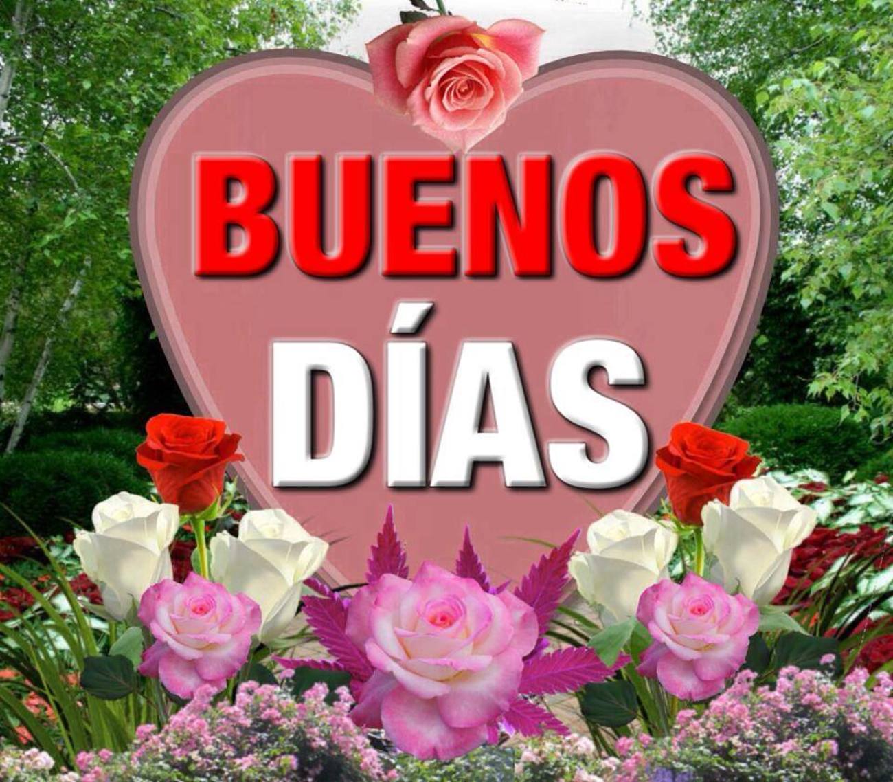 Bajar Imagenes De Buenos Dias Bonitasimagenes Net