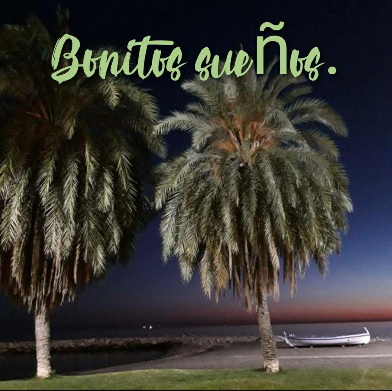 Bonitos Sueños 838