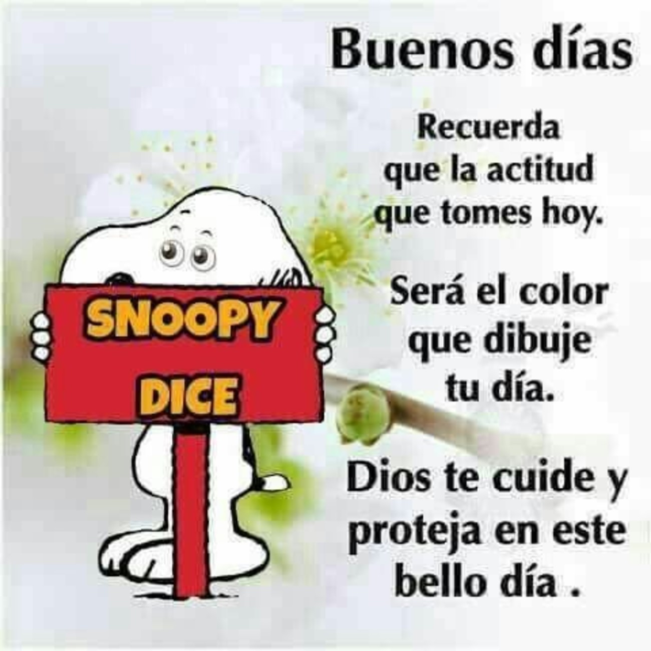 Buen Día 1017