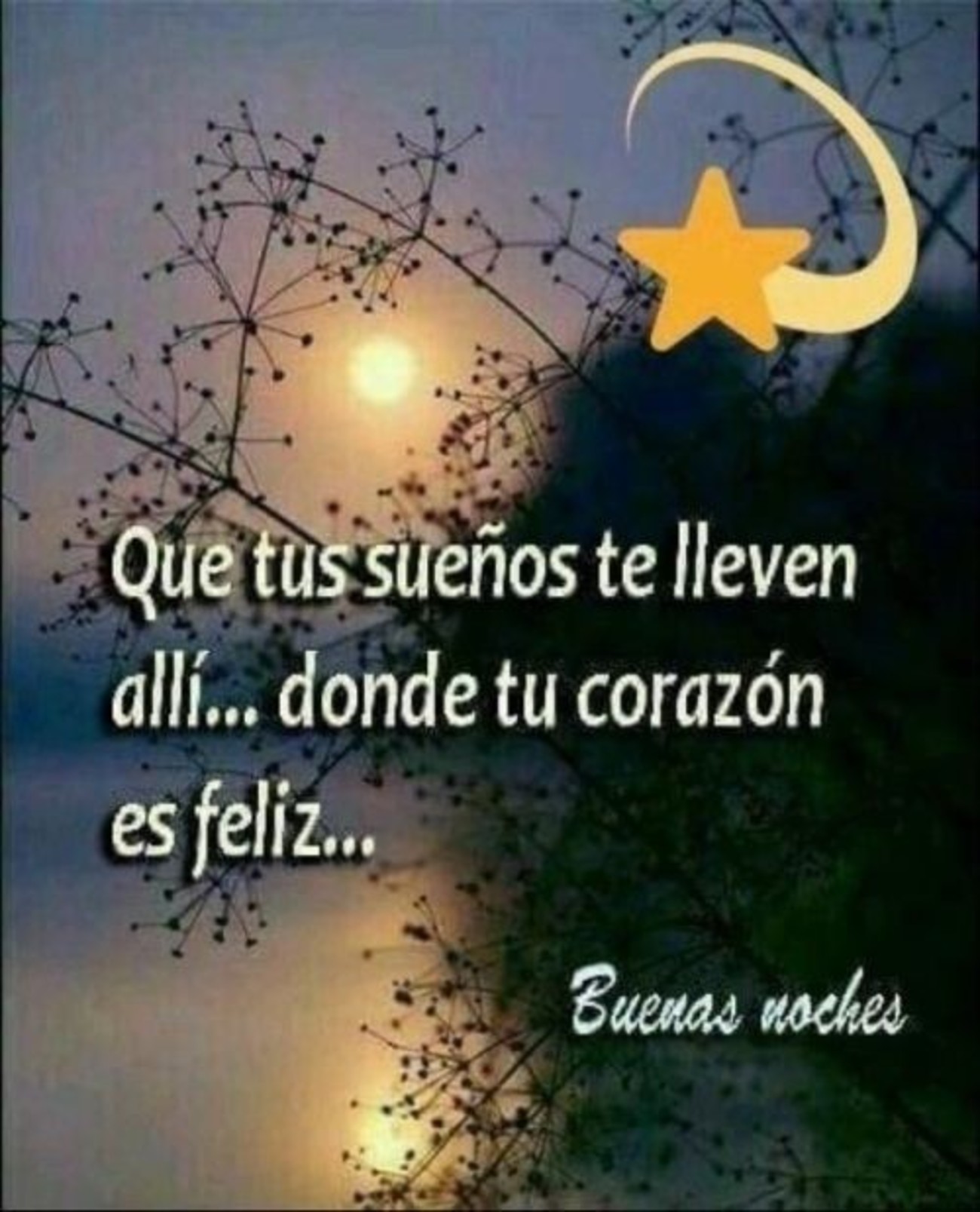 Buenas Noches Dulces Sueños Imágenes Bonitas 753