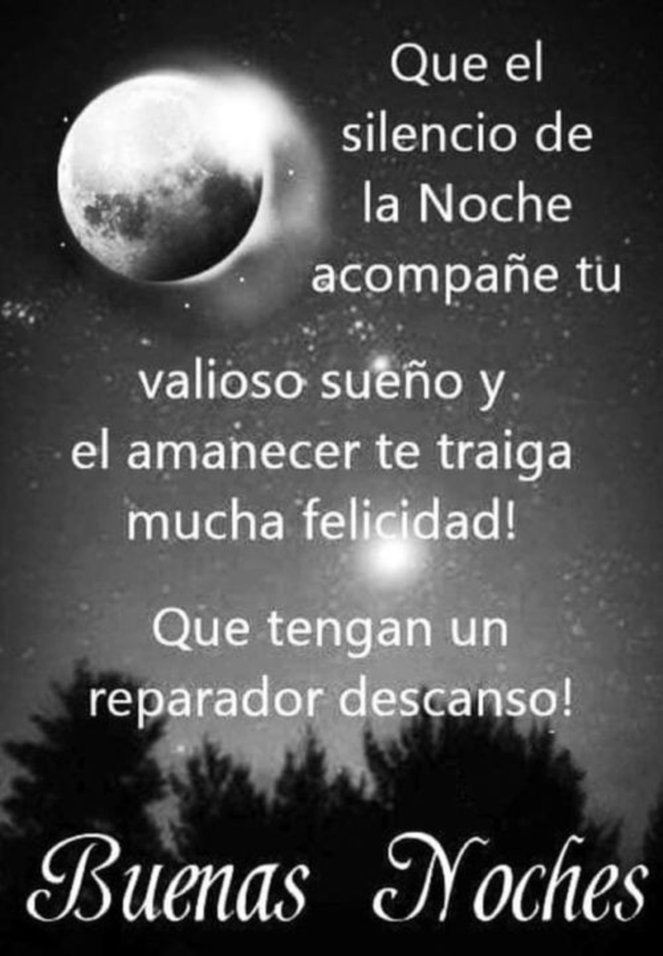 Buenas Noches Facebook 732