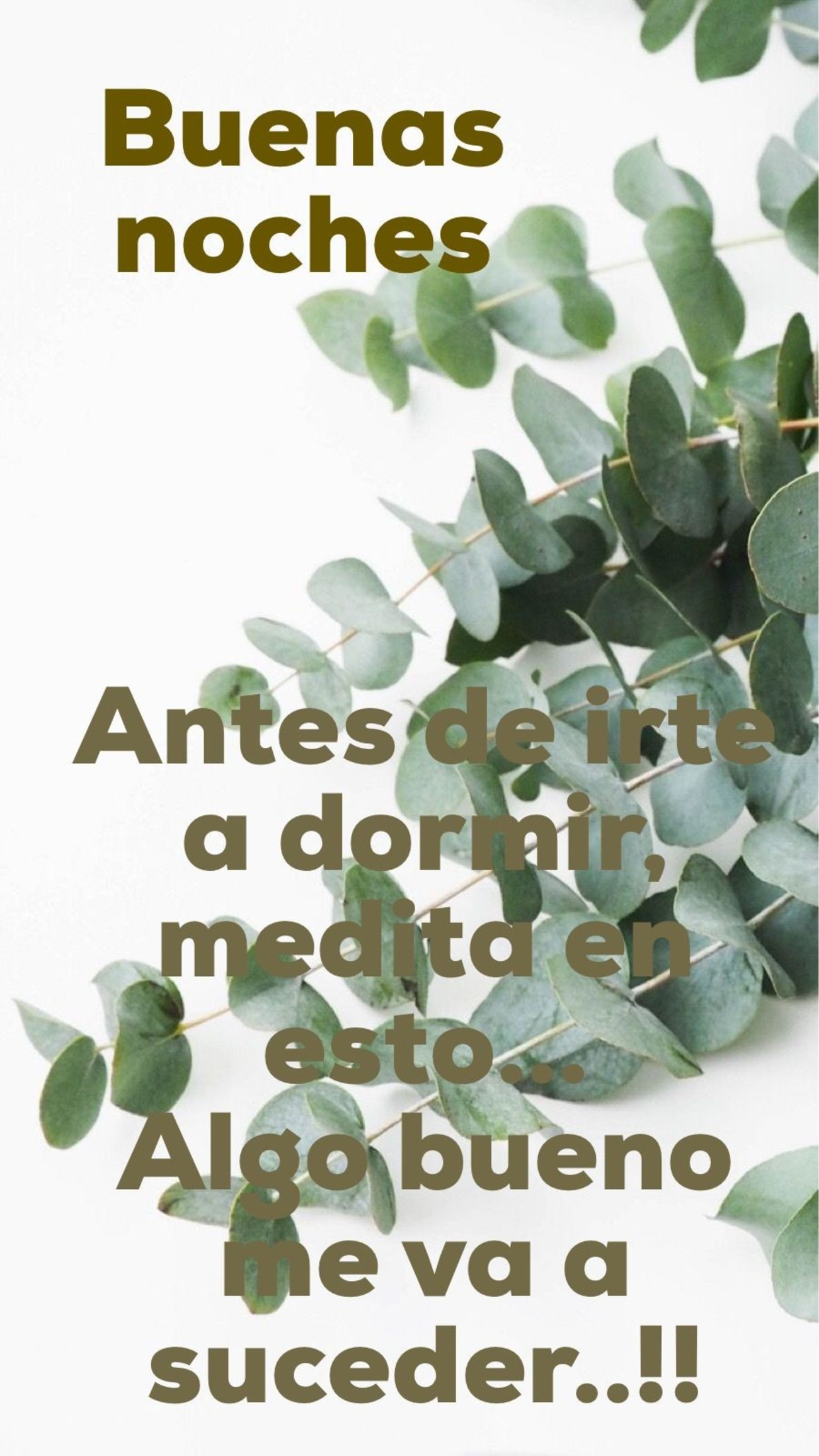 Buenas Noches Hasta mañana Buenas Noches Hasta mañana
