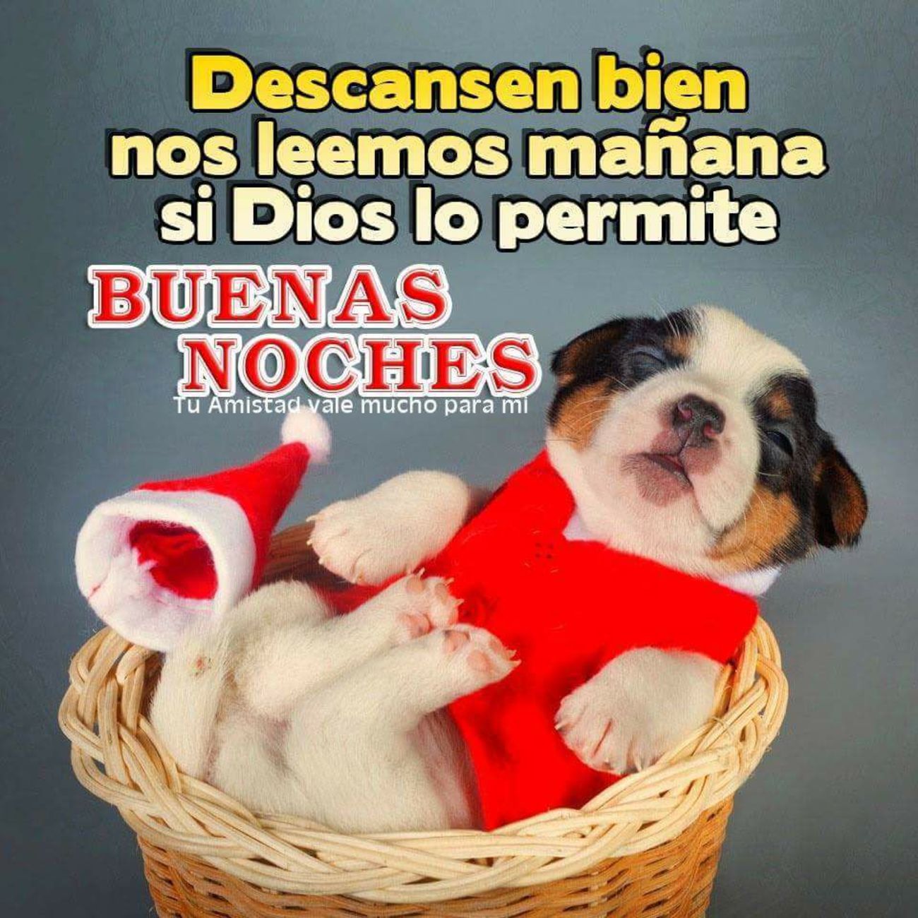 Buenas Noches Navidad 819