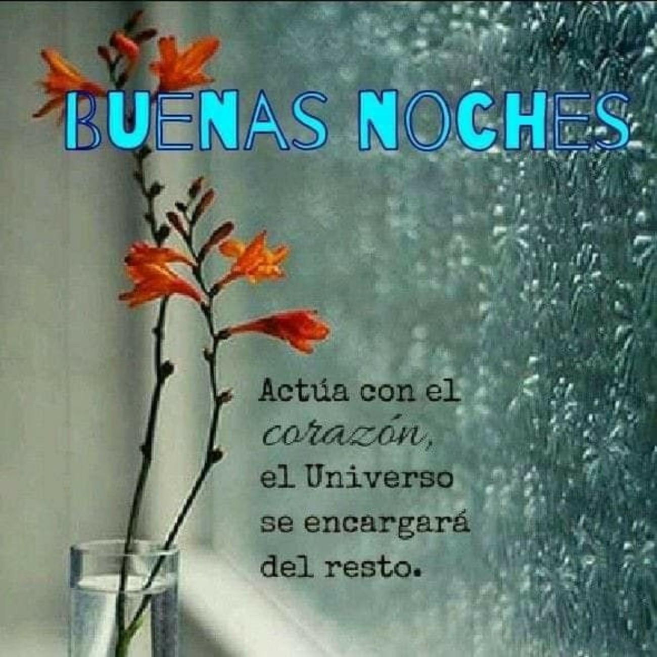 Buenas Noches Pinterest 687 Archives Buenas Noches Pinterest 687 Archives