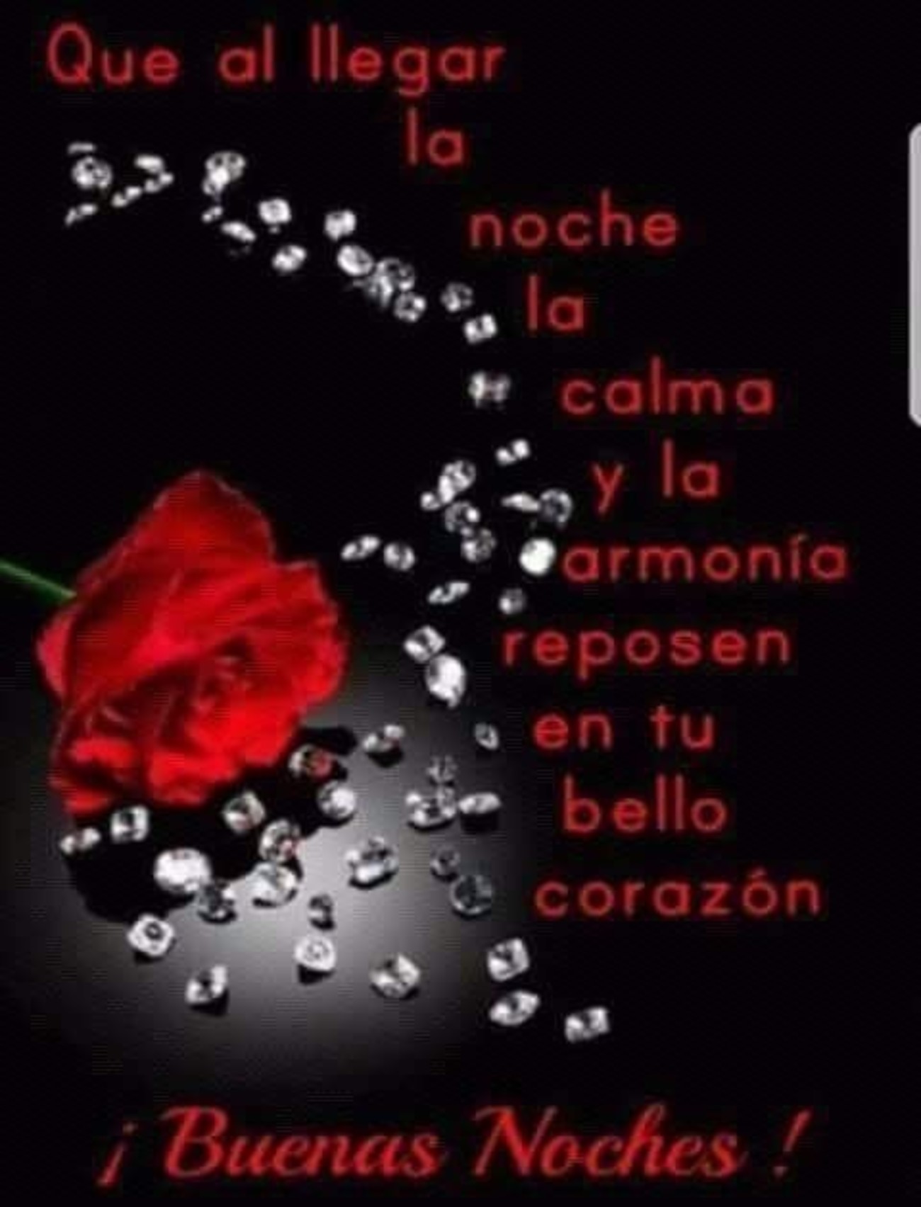 Buenas Noches amigos 846