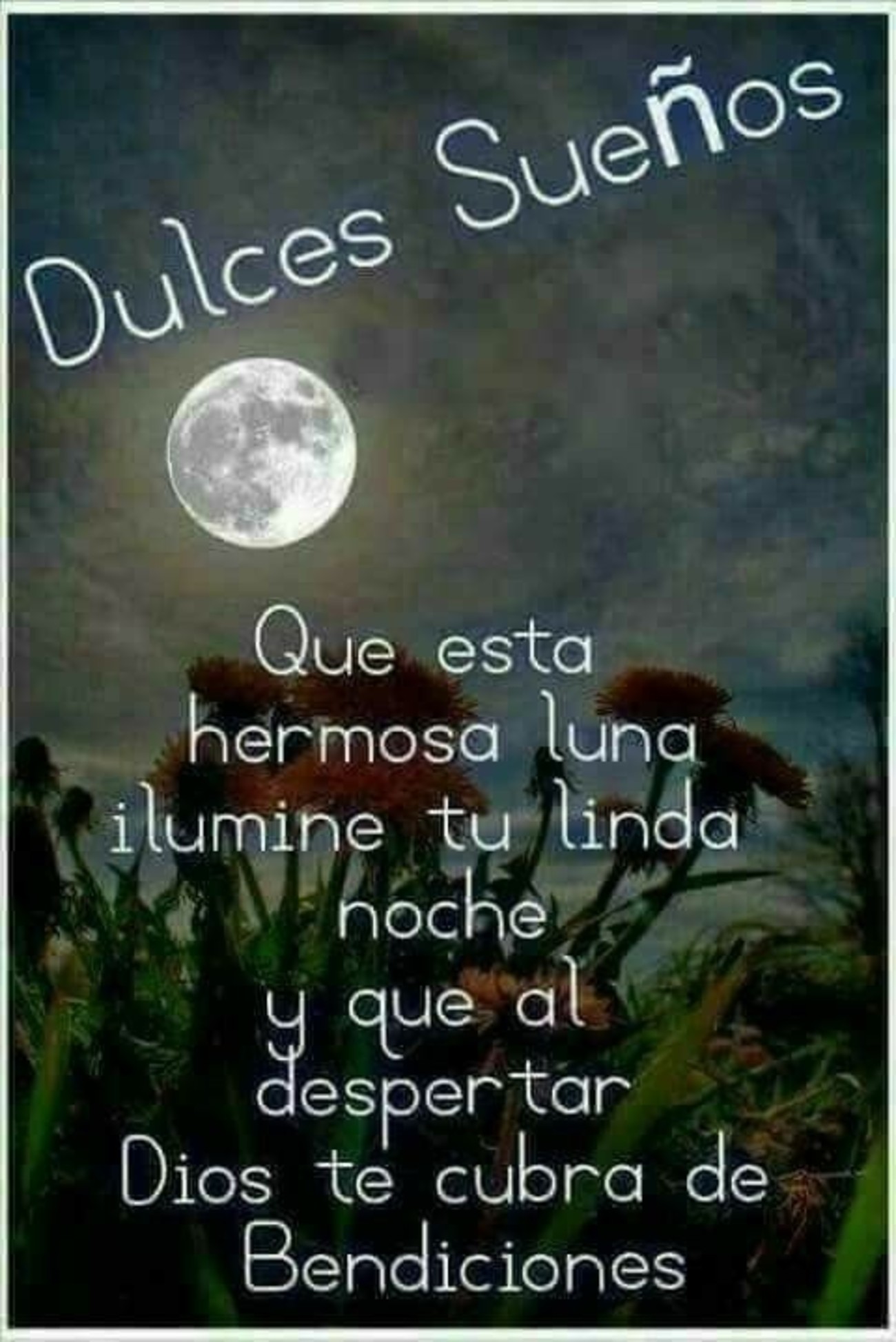 Buenas Noches amigos 857