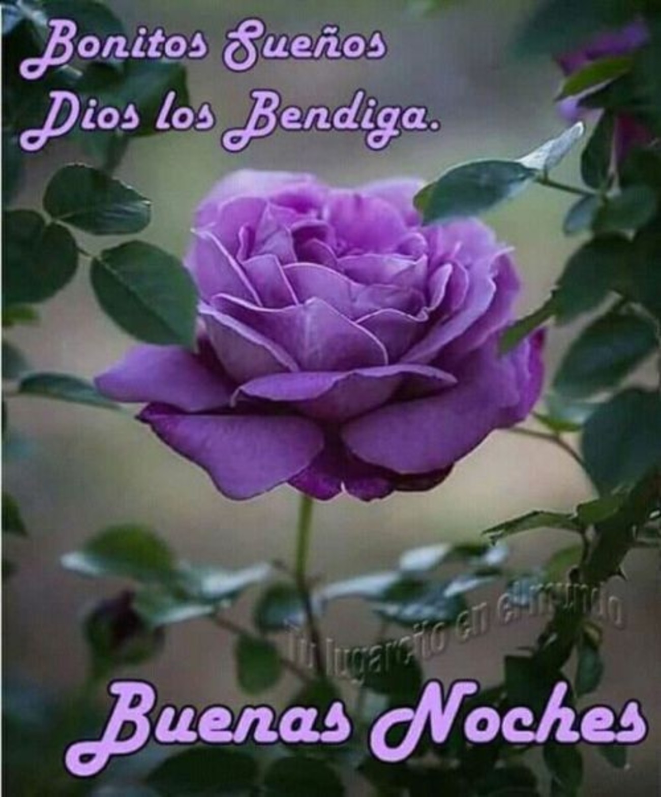 Buenas Noches bendiciones 562