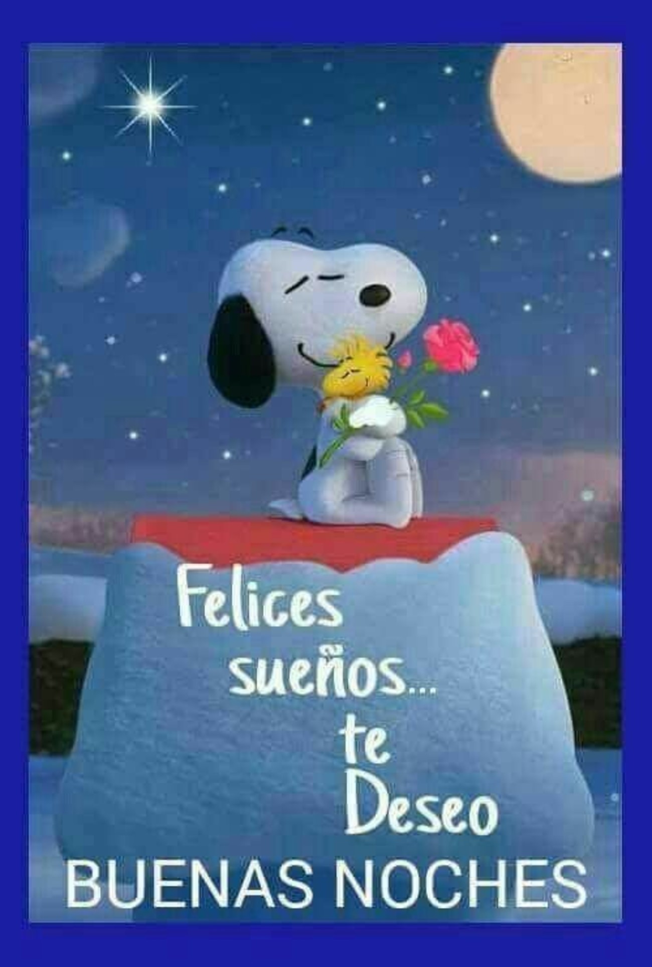 Buenas Noches con Snoopy 788