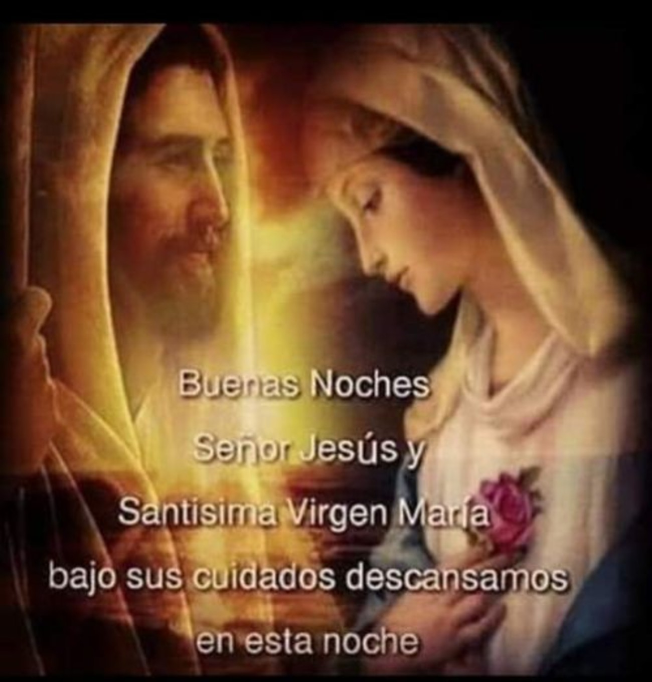 Buenas Noches con la virgen maria 547