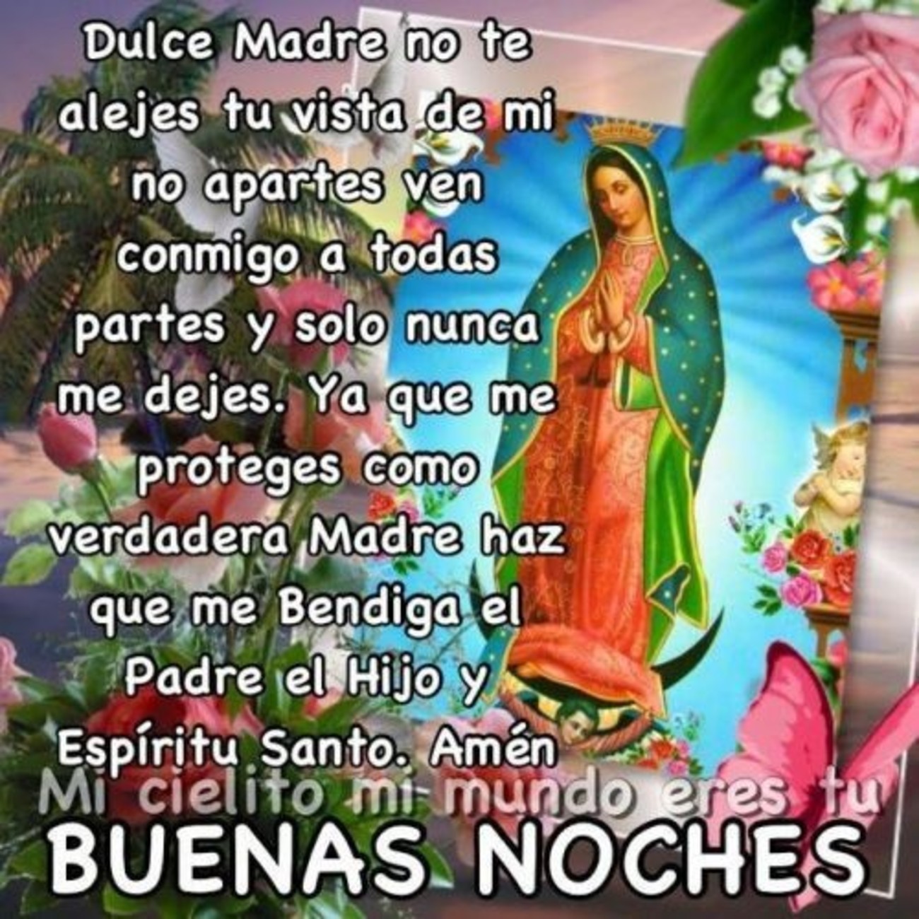 Buenas Noches con la virgen maria 666