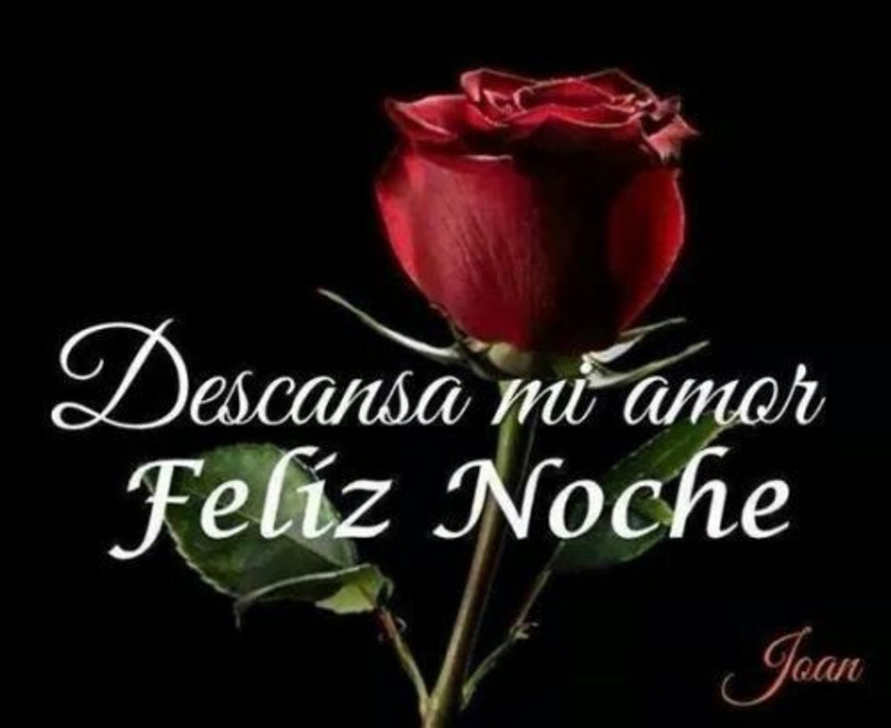 Buenas Noches con rosas - BonitasImagenes.net