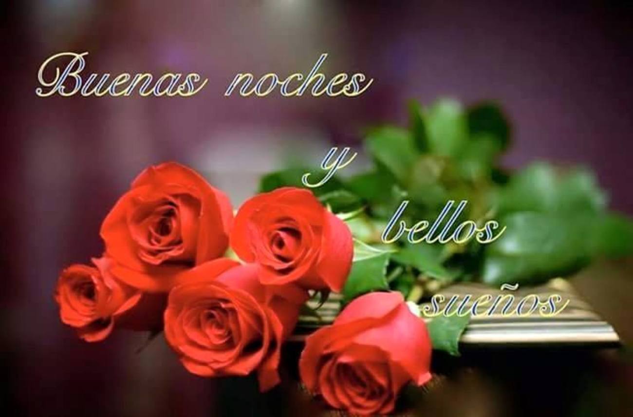 Buenas Noches con rosas 943