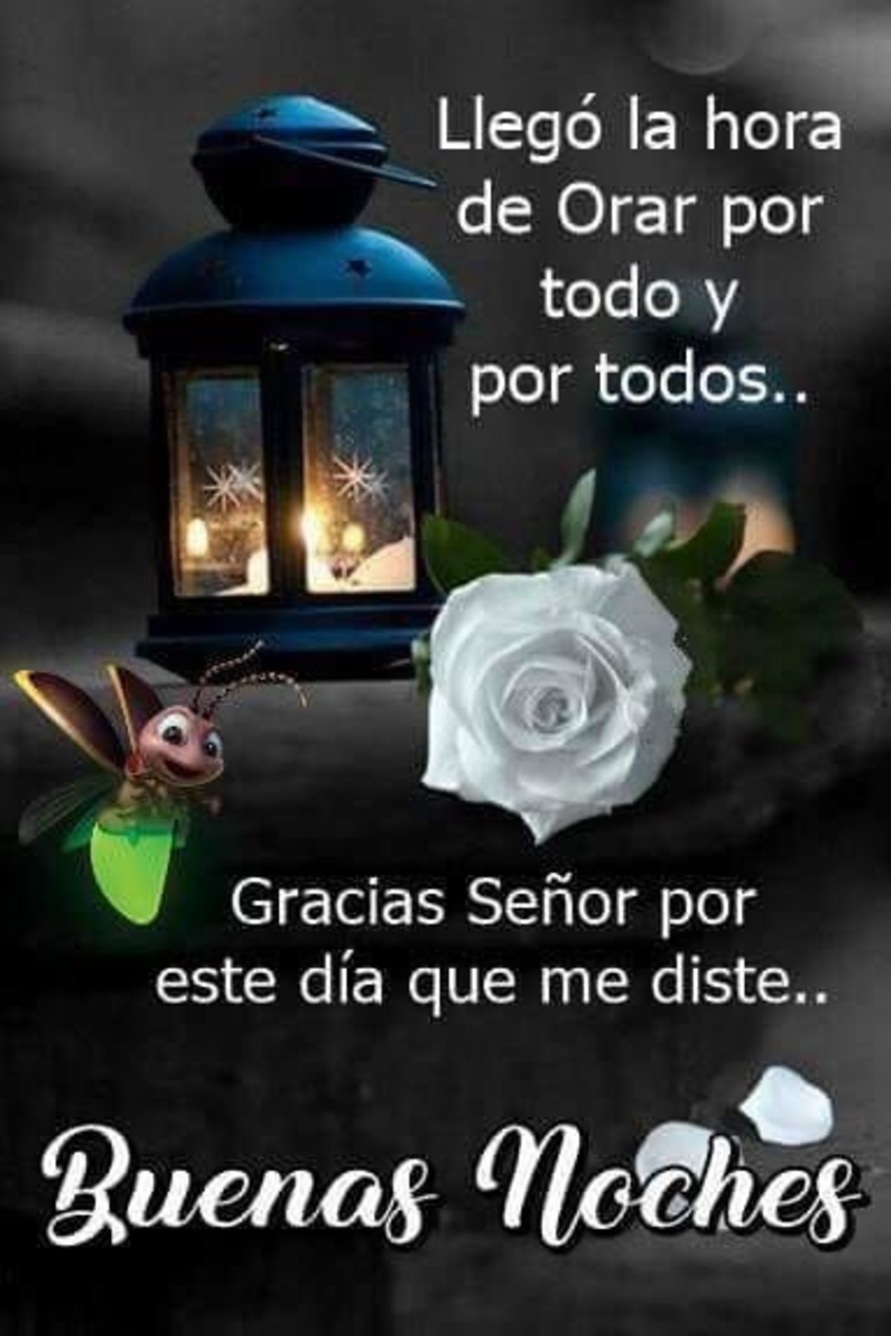buenas noches buen descanso Archives - Página 2 de 7 buenas noches buen descanso Archives - Página 2 de 7