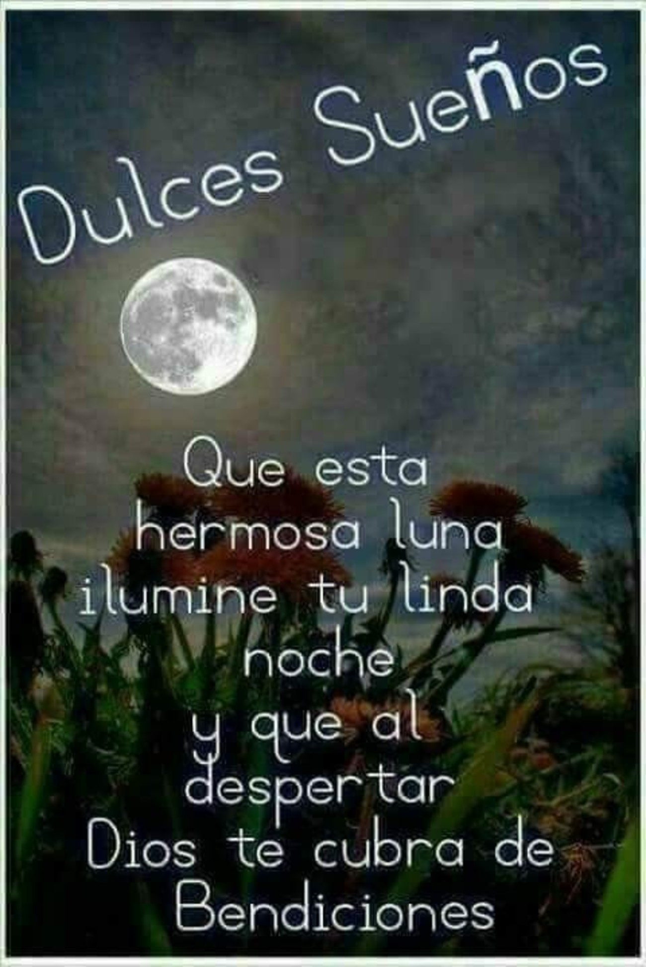 Buenas Noches imágenes con frases Buenas Noches imágenes con frases