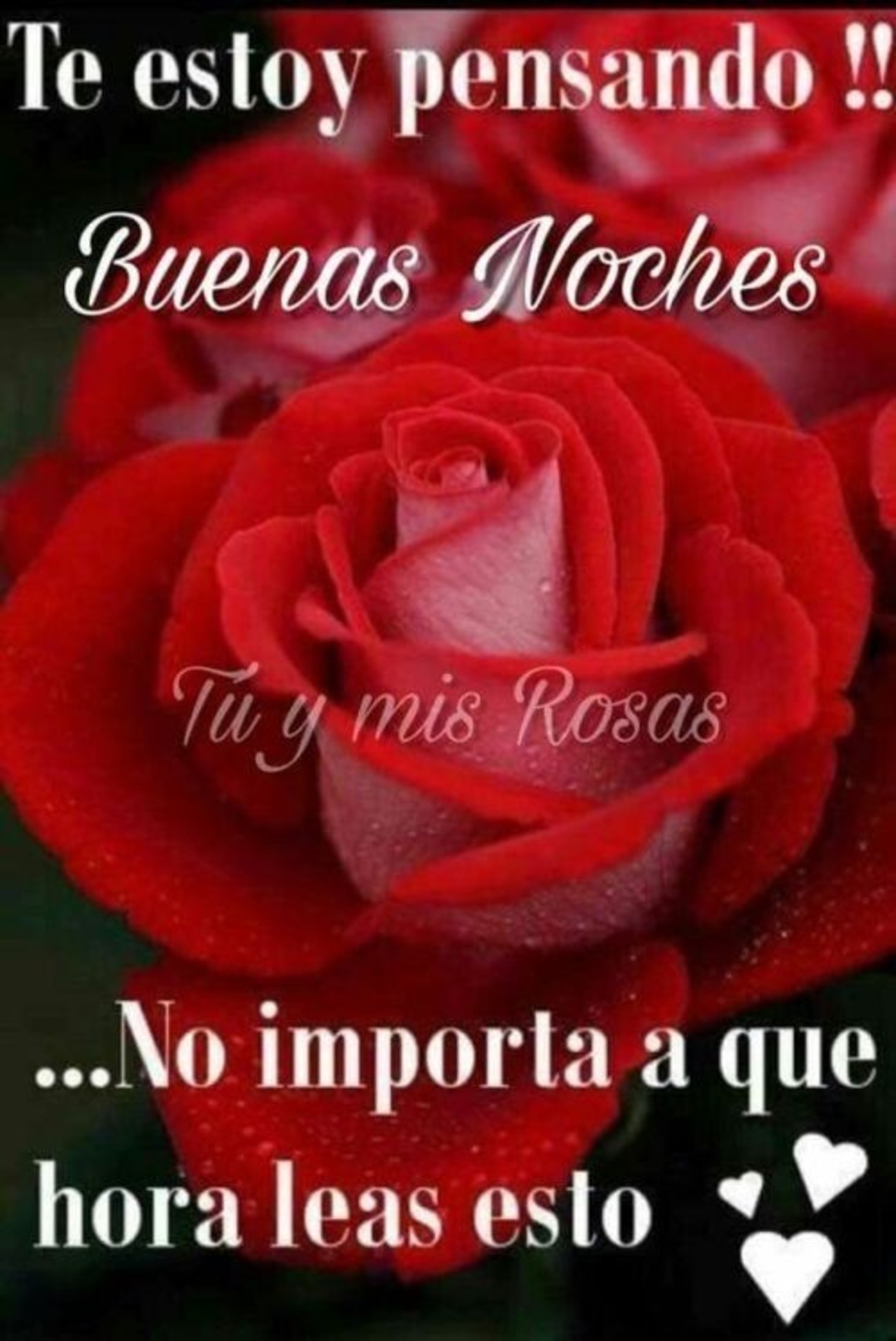 Buenas Noches imagenes nuevas 881