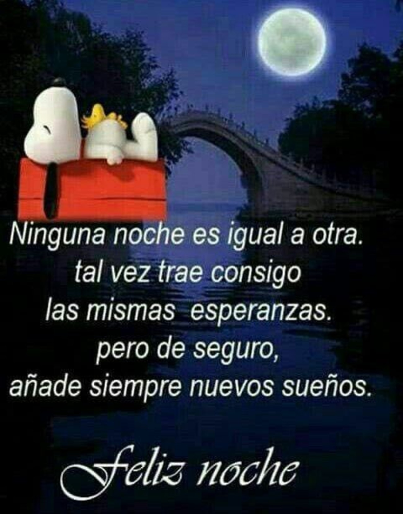 Buenas Noches imagenes nuevas 883 Buenas Noches imagenes nuevas 883