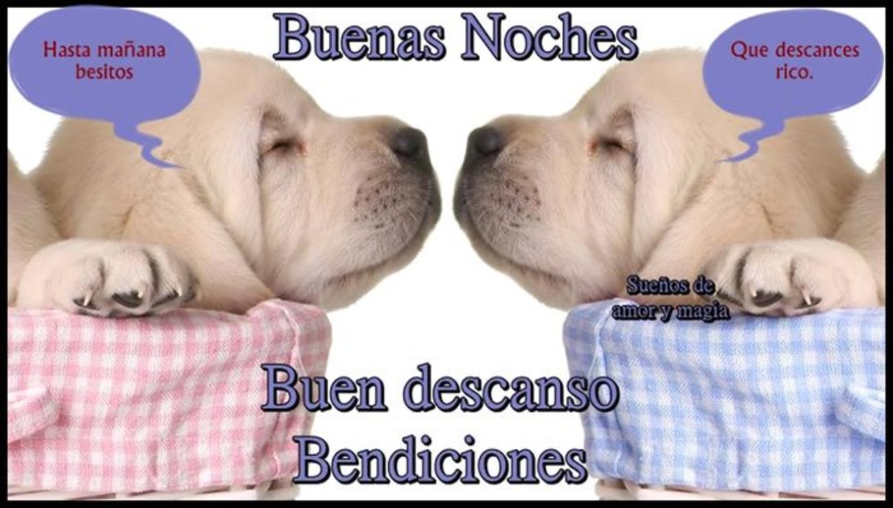 Buenas Noches mensajes 834