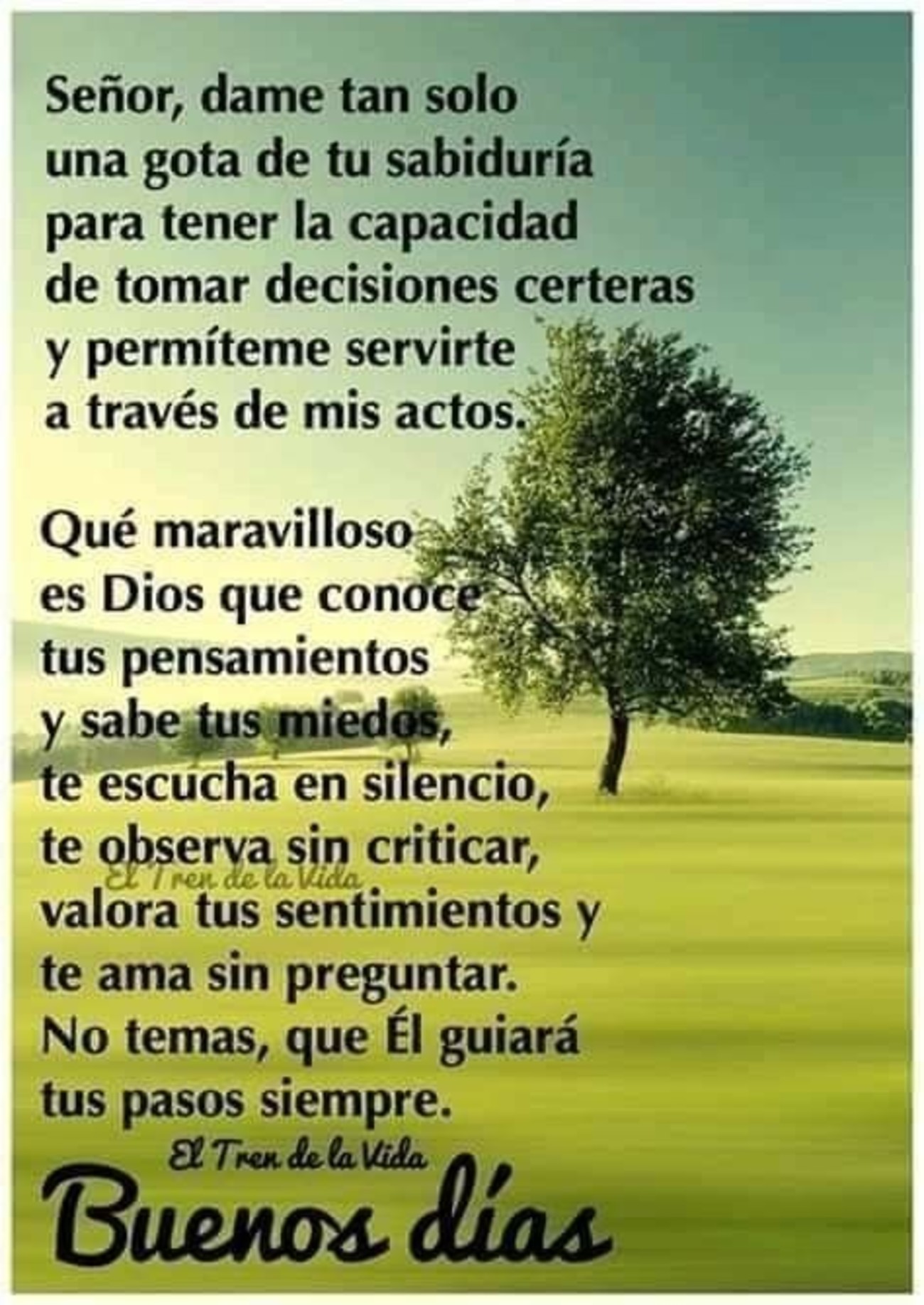 Frase Del Dia El Tren De La Vida Frase Del Dia El Tren De La Vida