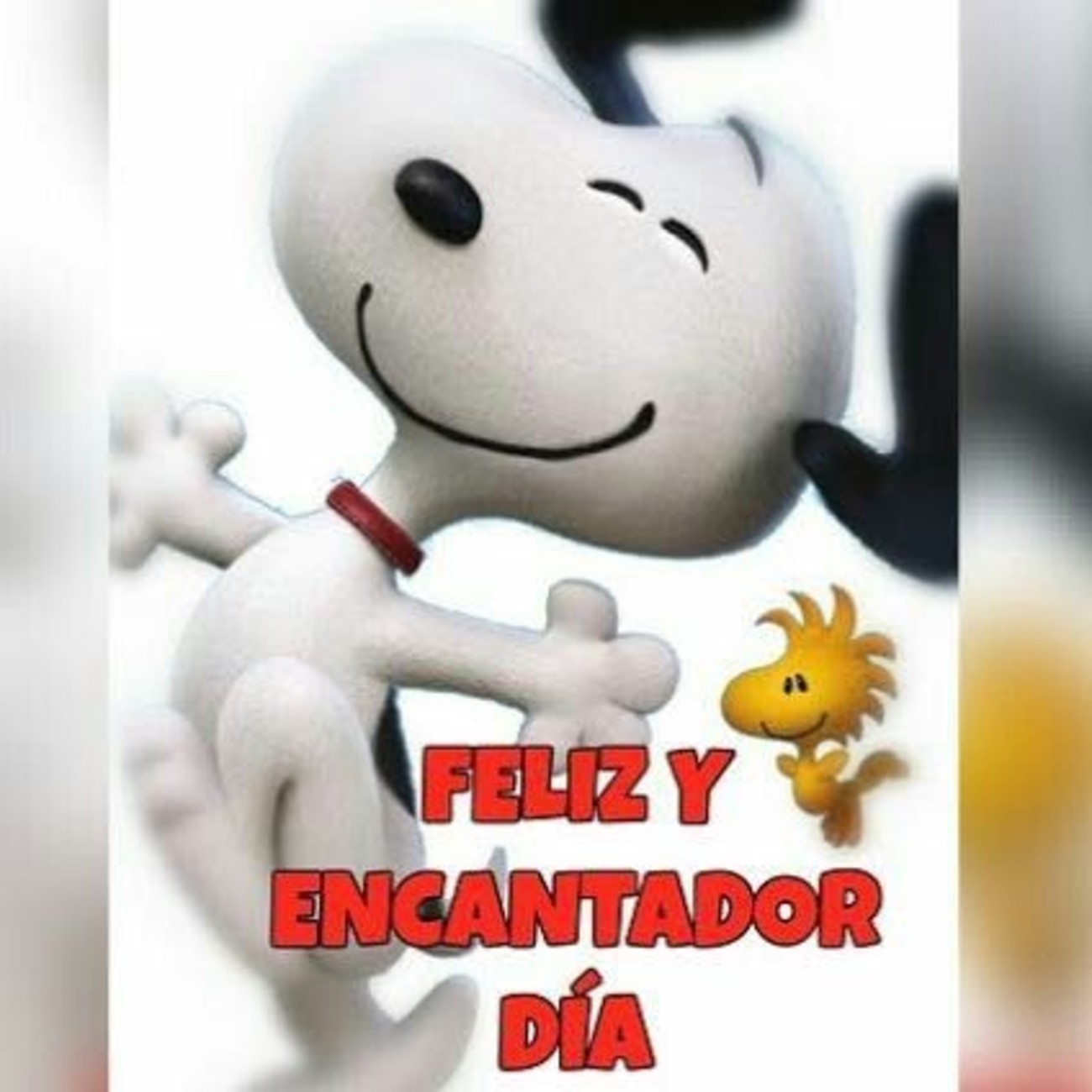 Buenos Dias con Snoopy 985