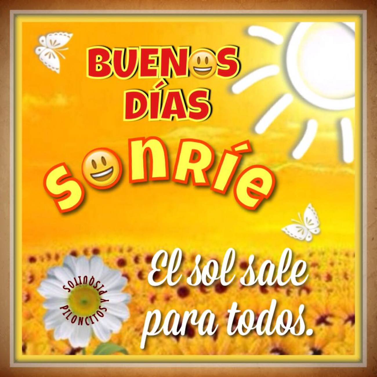 Buenos Dias verano 694