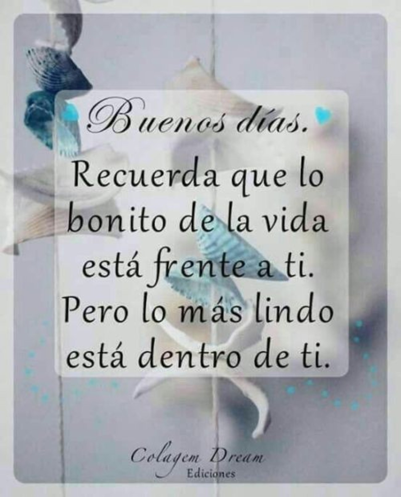 Buenos Días Pinterest 709